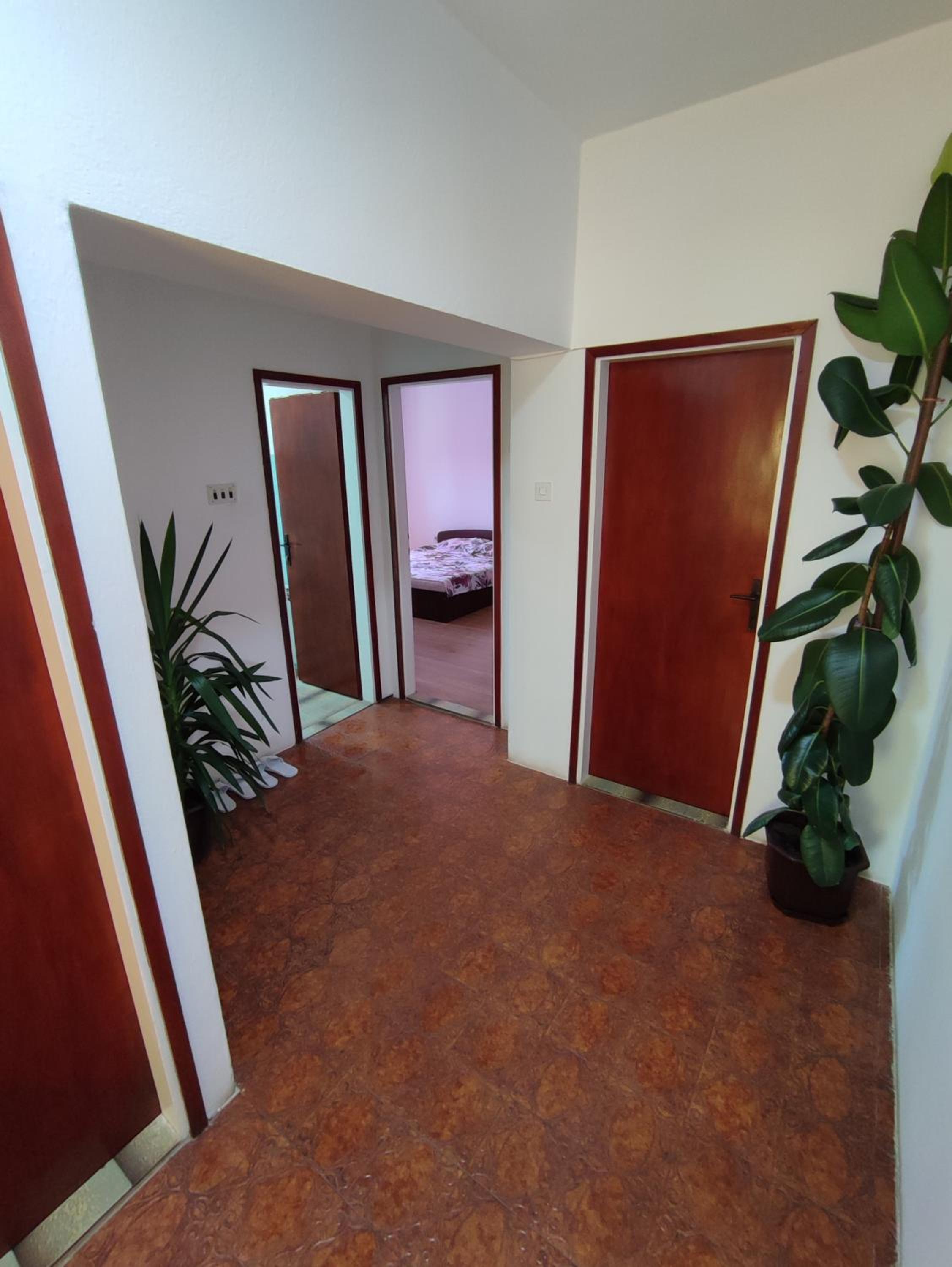 Apartman/Soba view 3