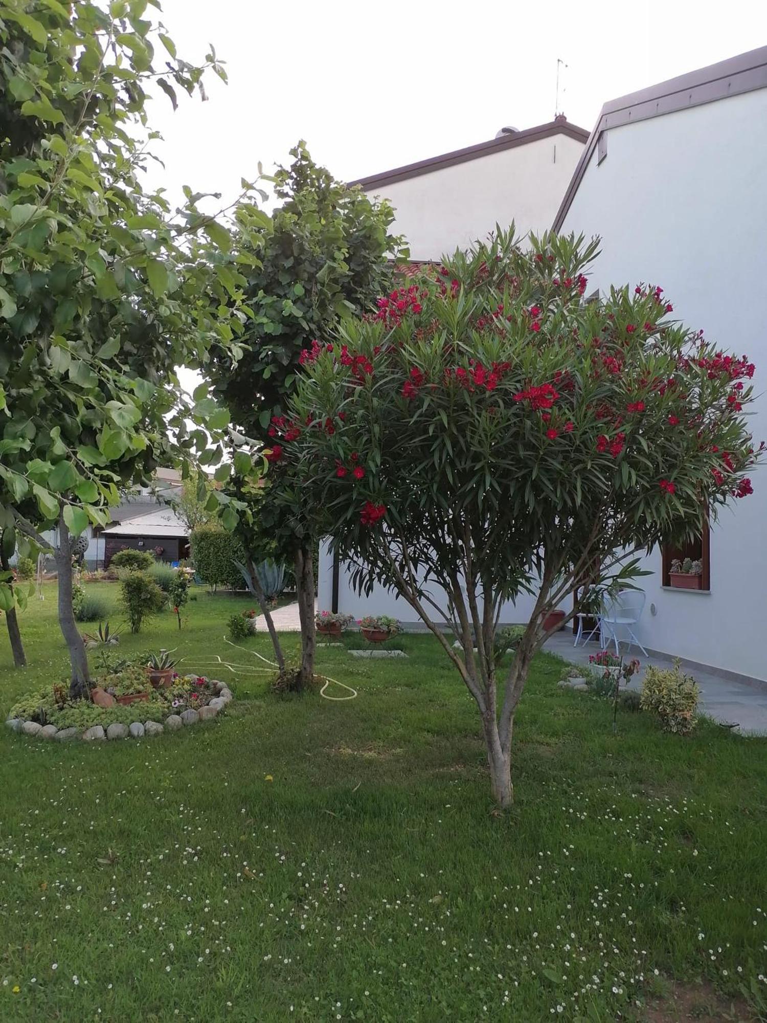 Casa MI-RE-LA view 3