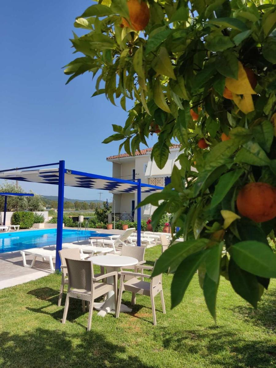Photo 49