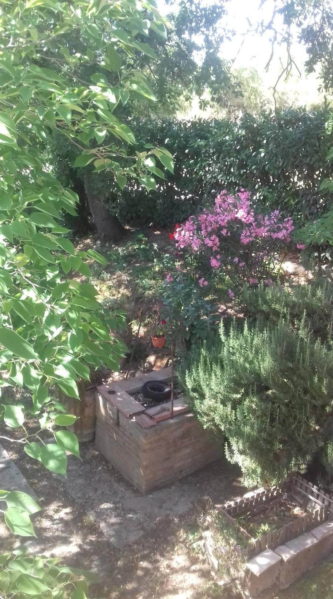 La casa di Lili