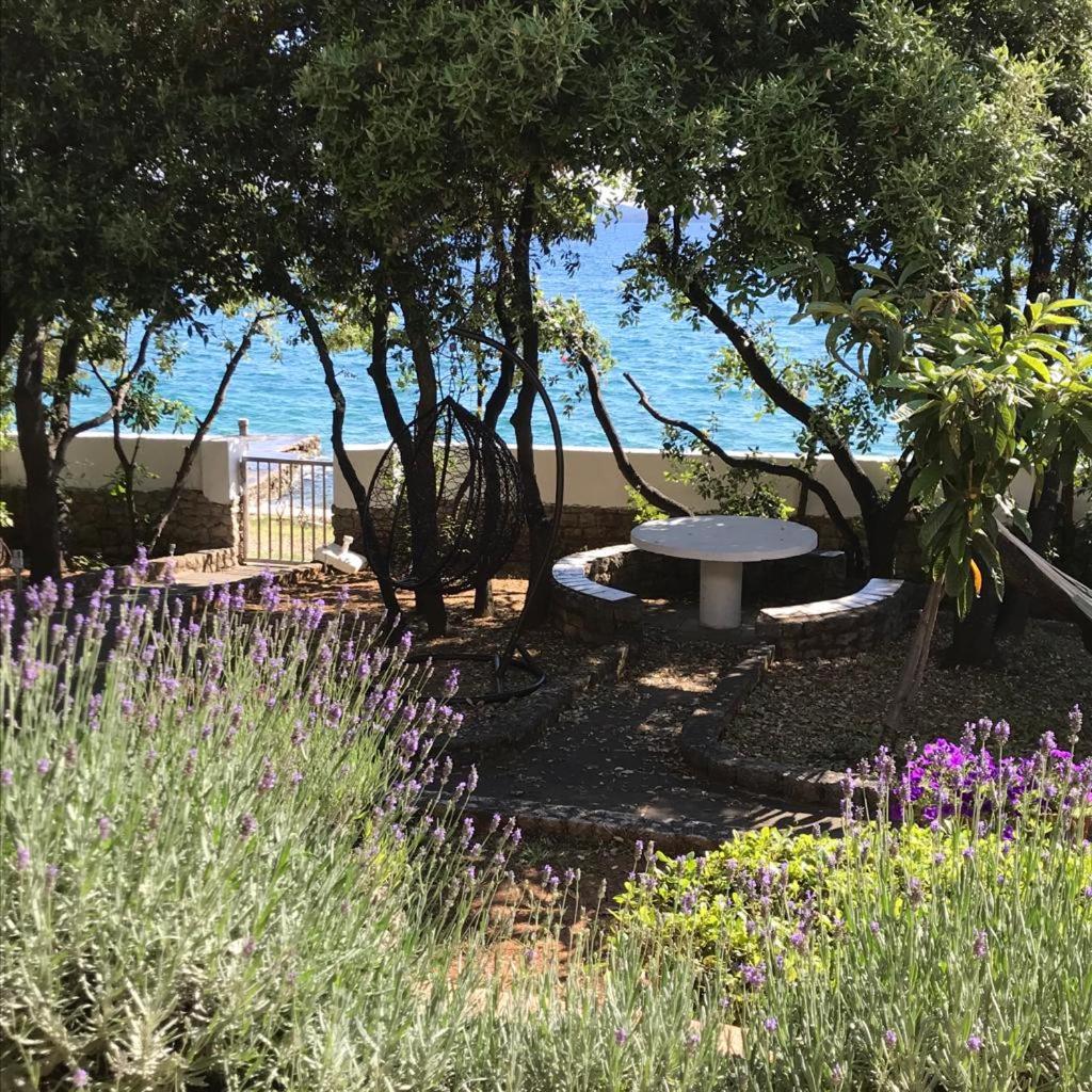 Apartment PALATISA
