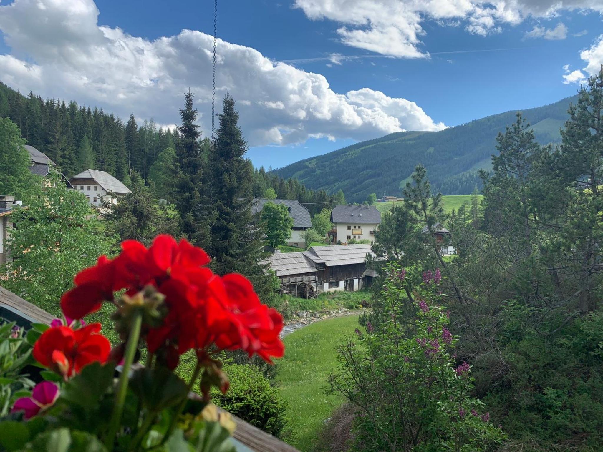 Lilly Chalet- Apartments with private sauna, close to ski lifts