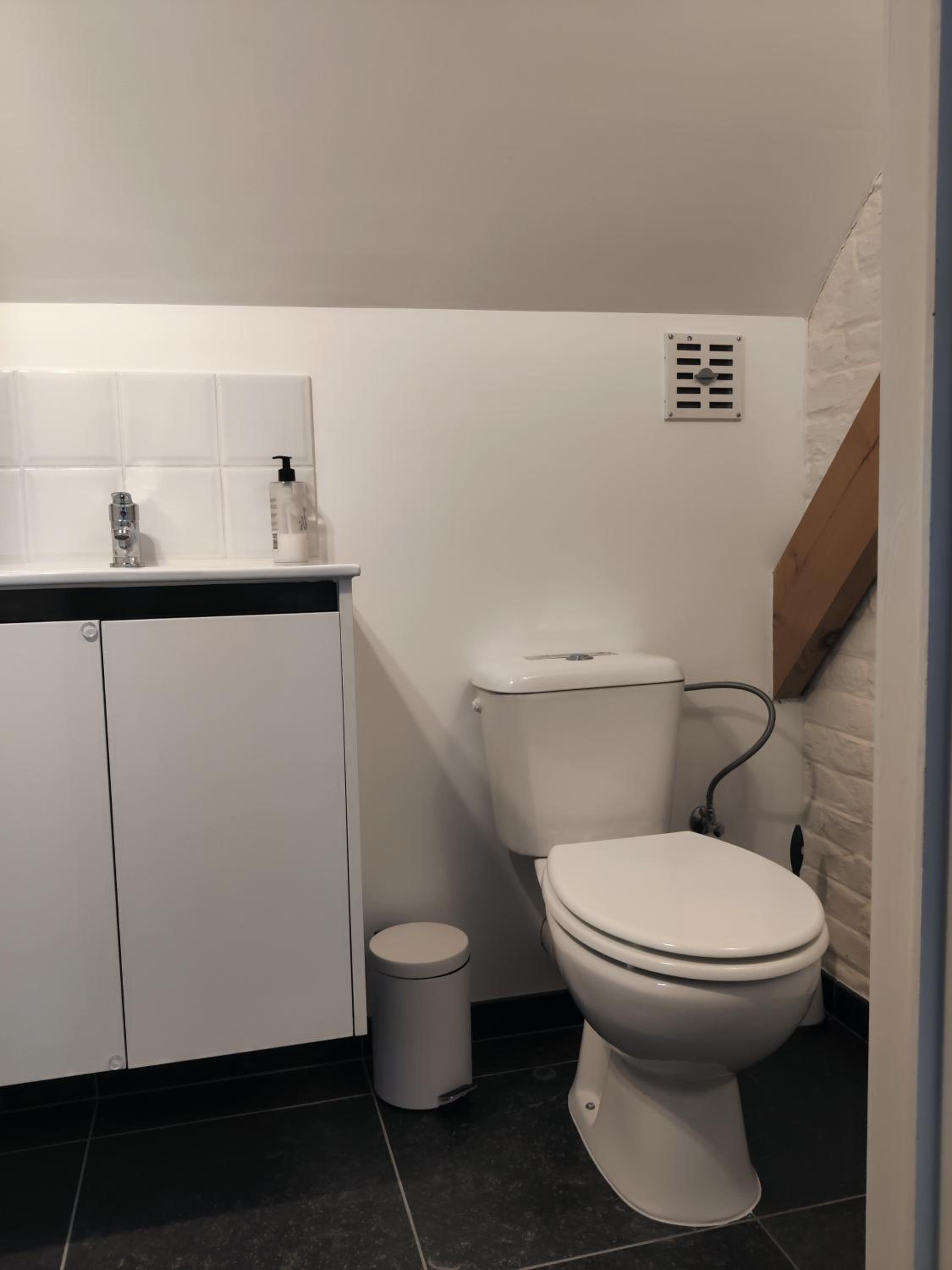 De Lucarne