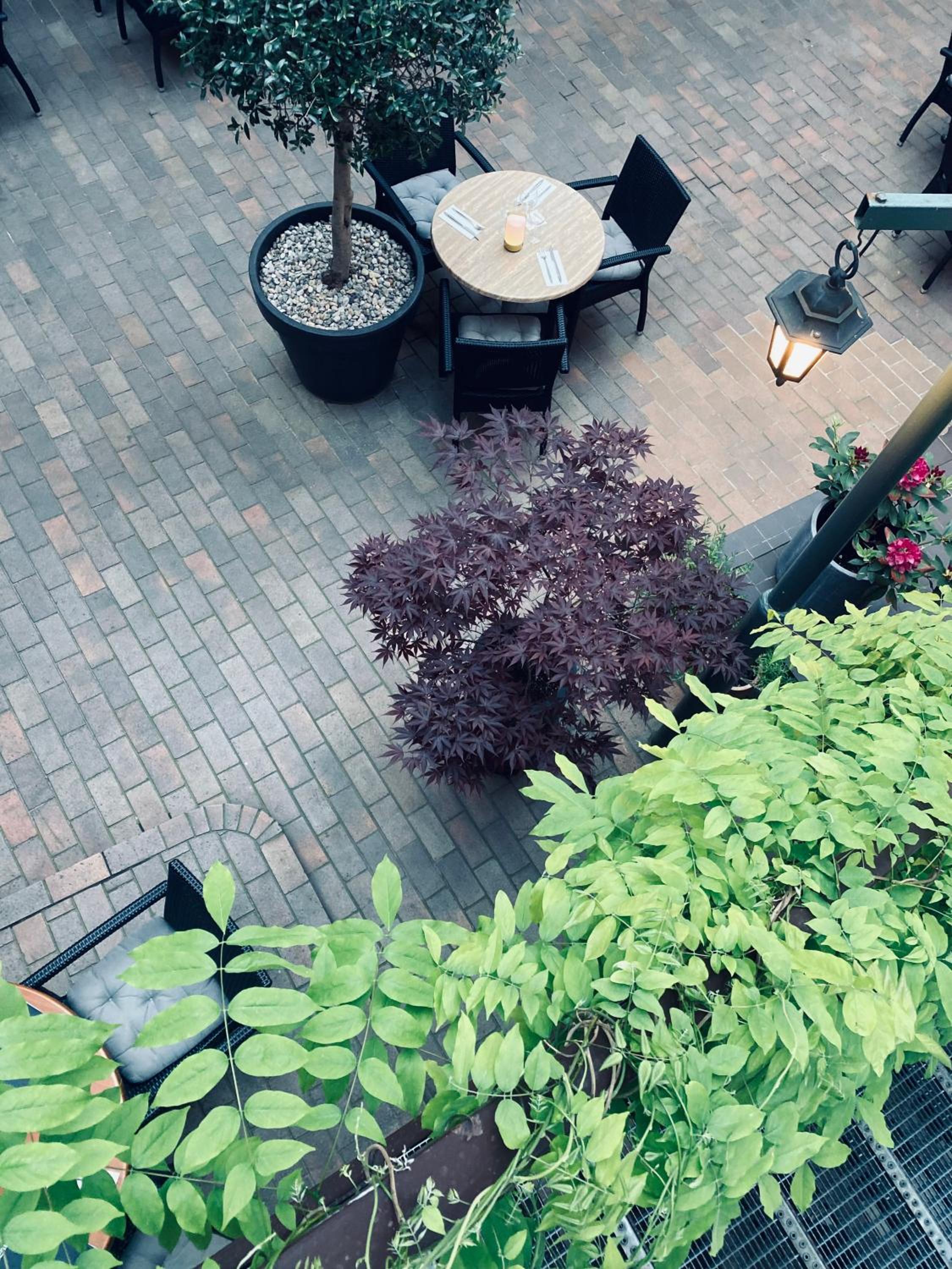 Hotel Rango - Image 1