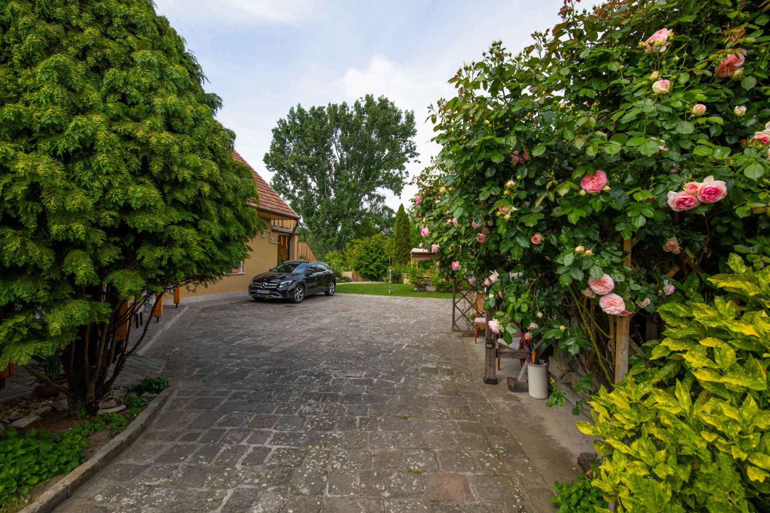 Bonifert Vendégház view 3