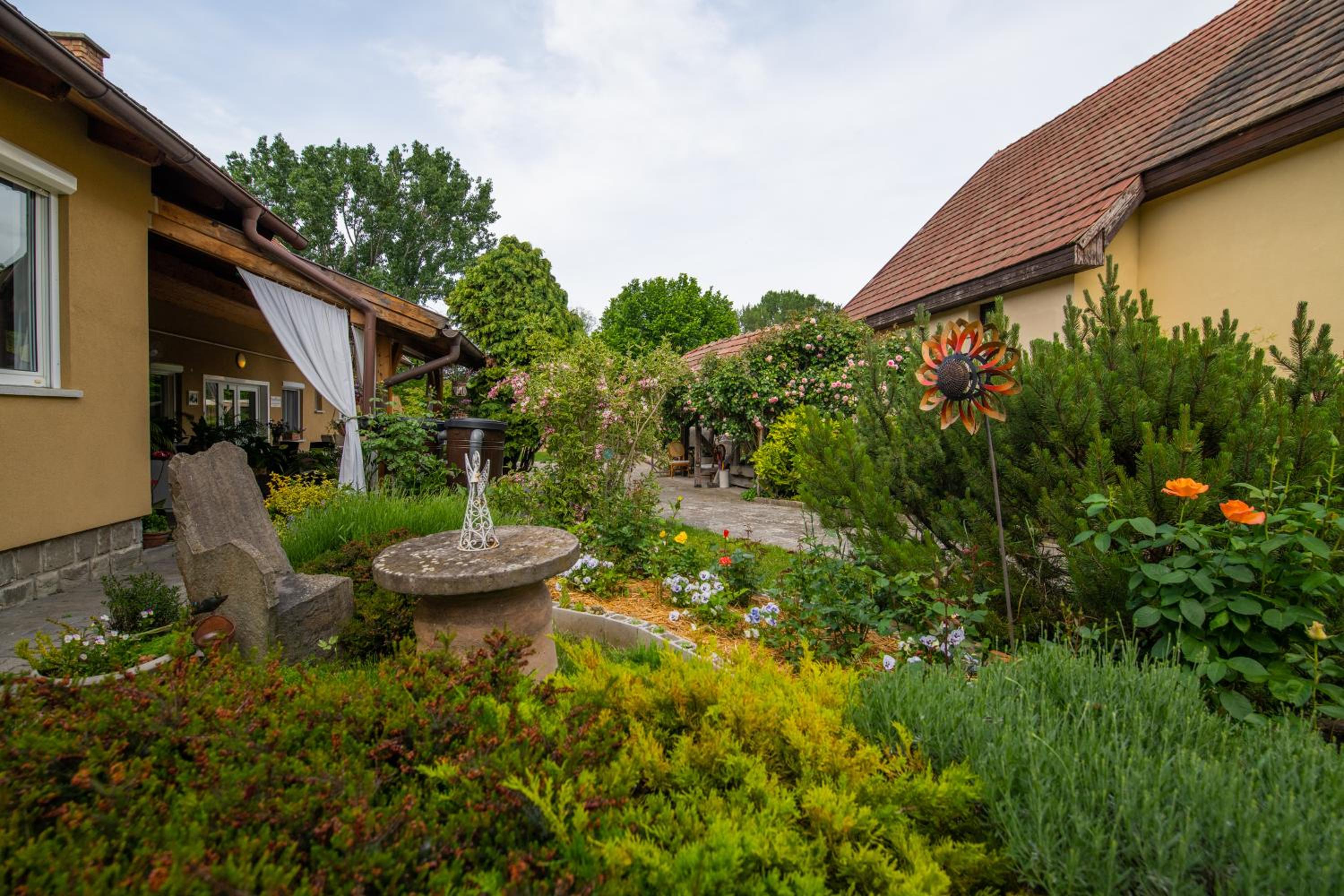 Bonifert Vendégház view 4