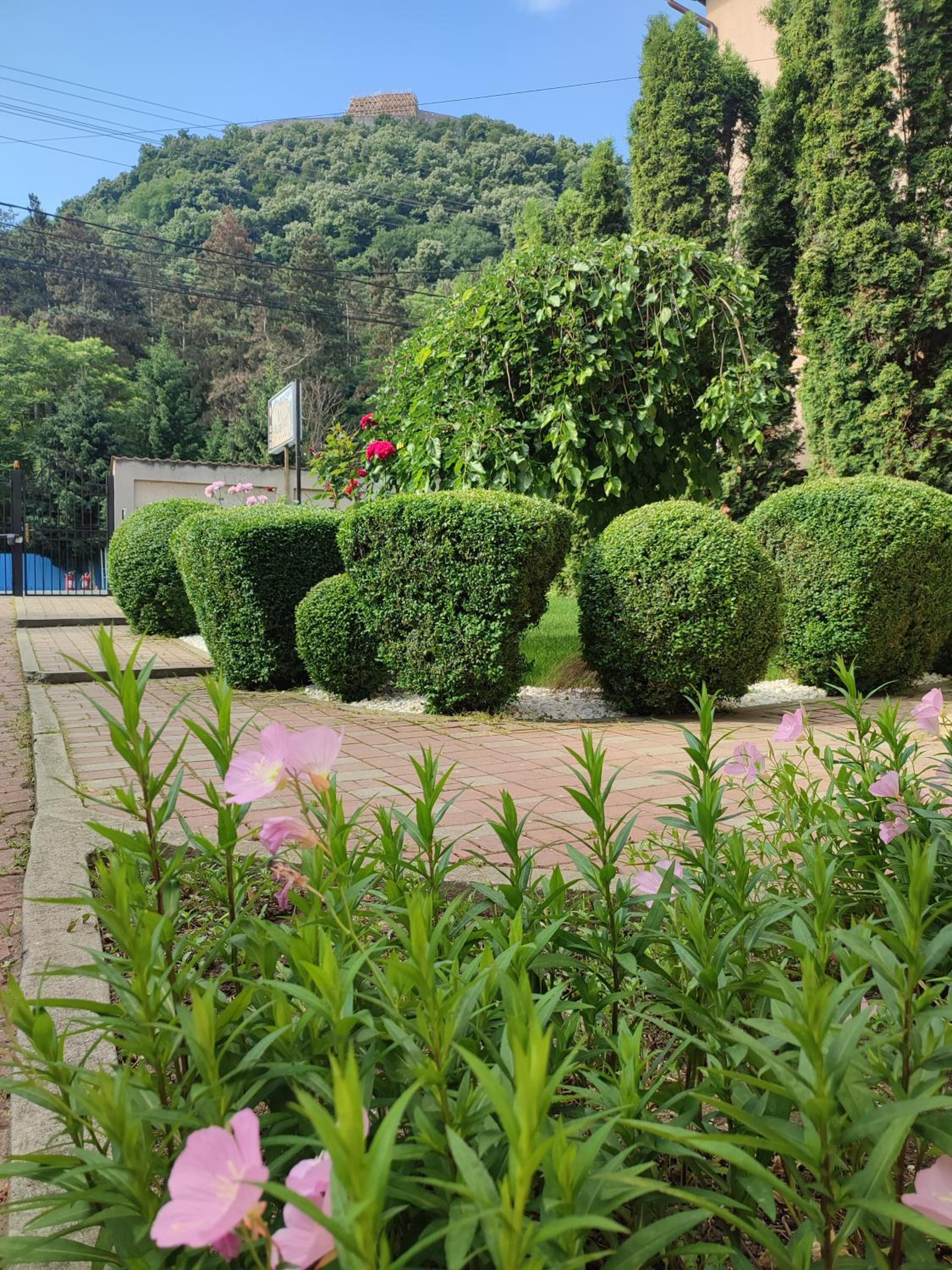 Casa Alina, photo 46