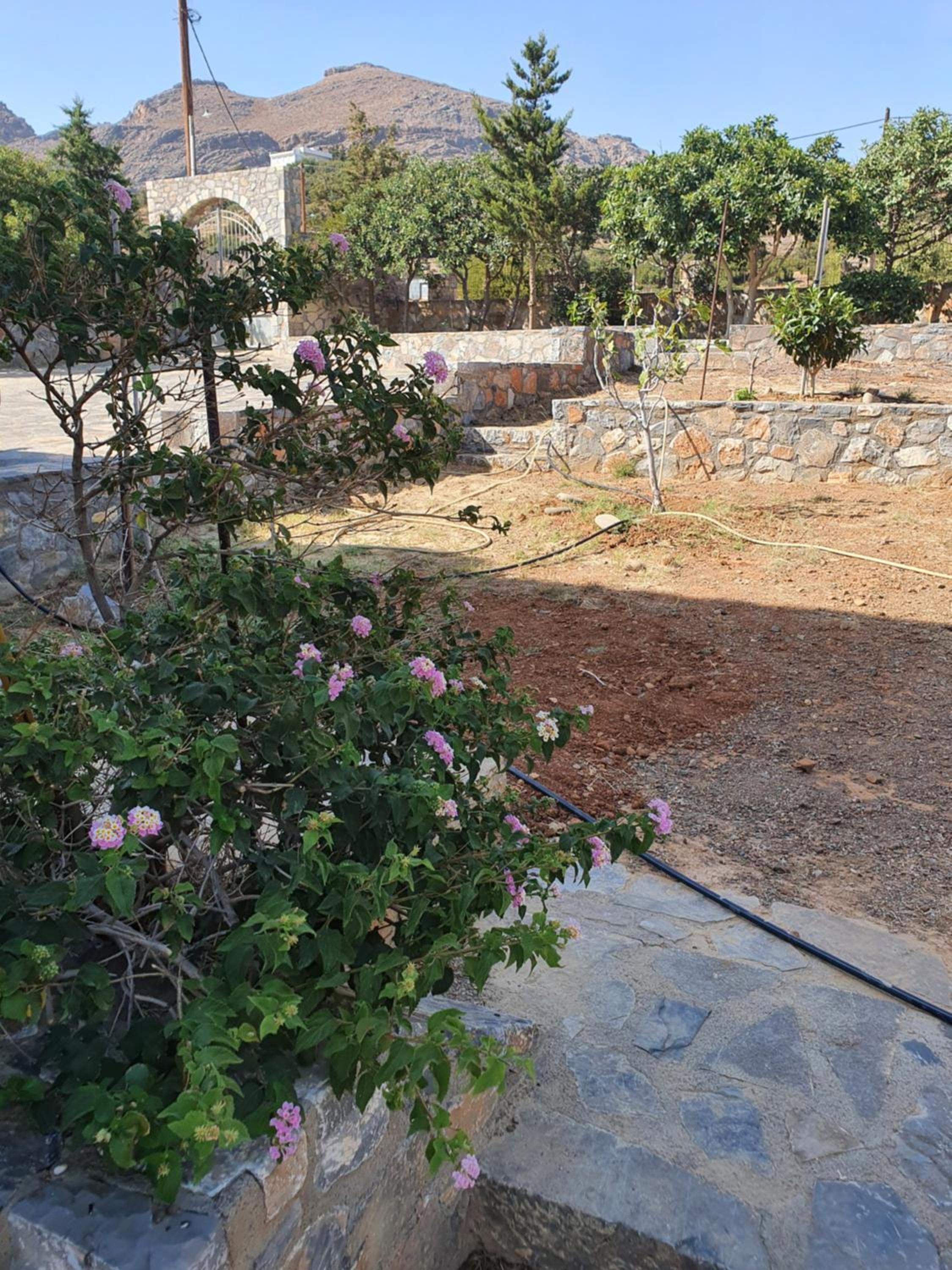 VILLA PETRINO