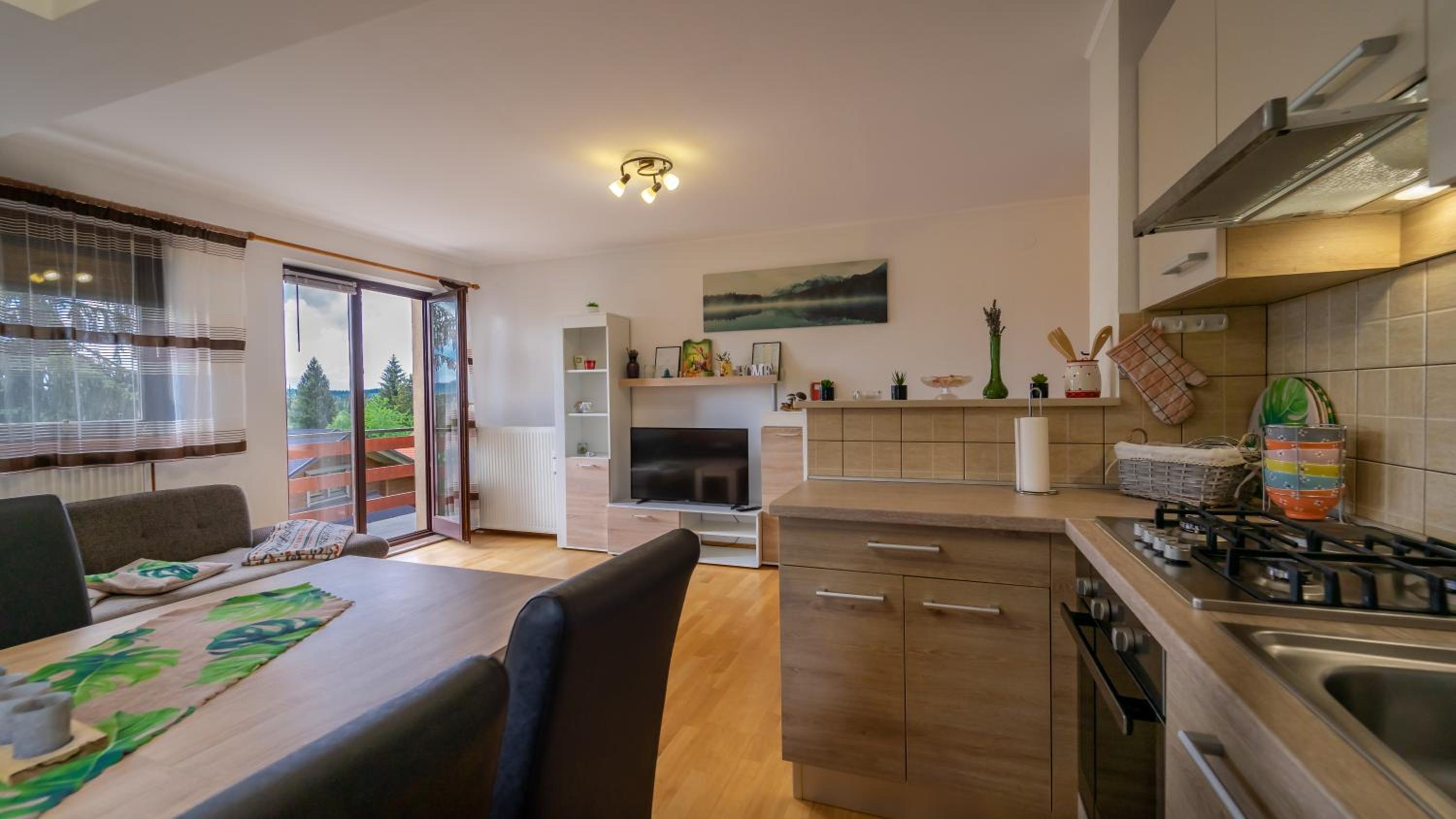Apartman Suhi vrh view 4