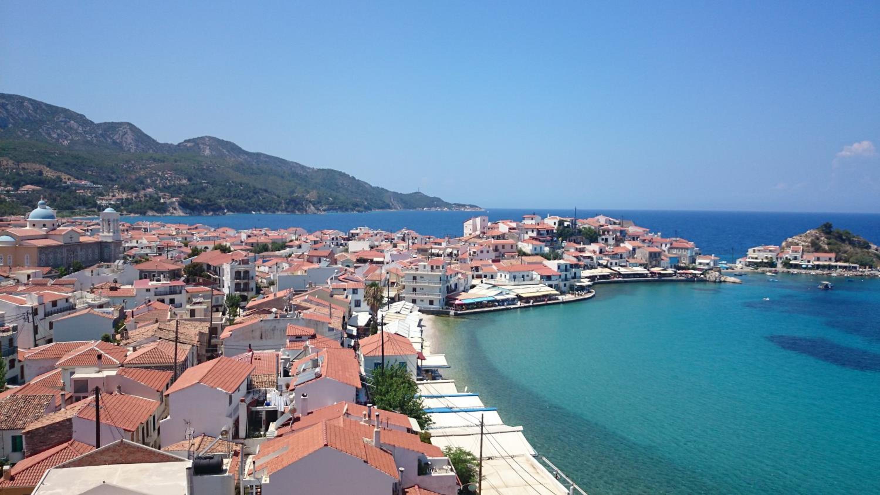 Kamelia view 5