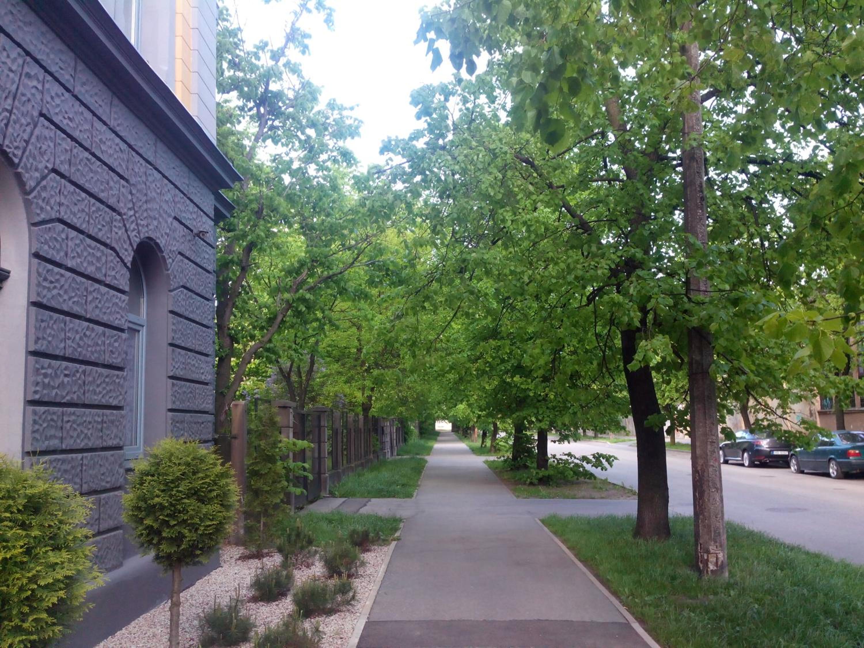 Photo 11