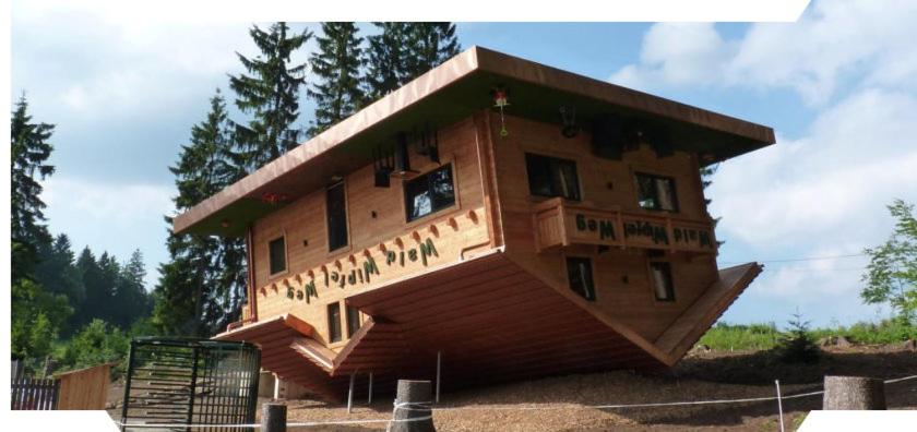 Appartement Grün-Weiß