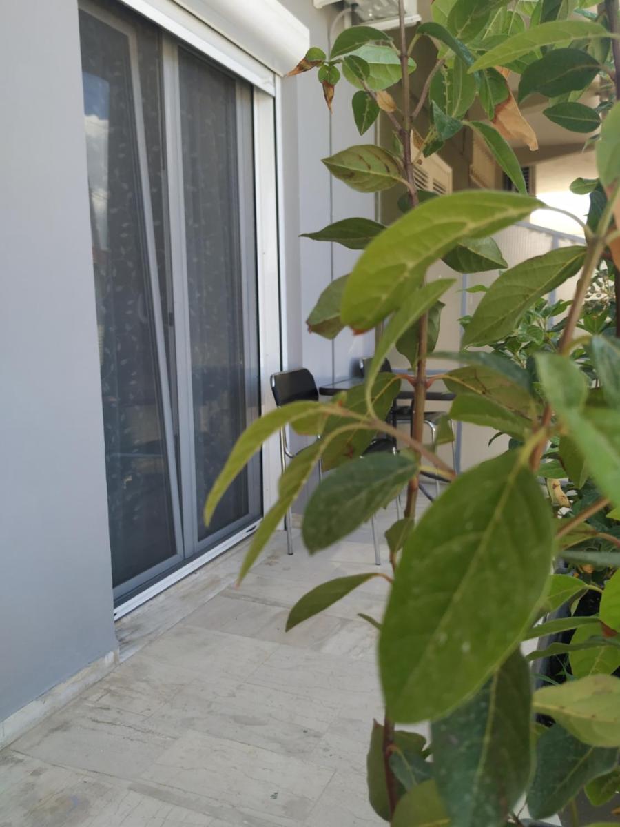 Sweet House 64A photo 5
