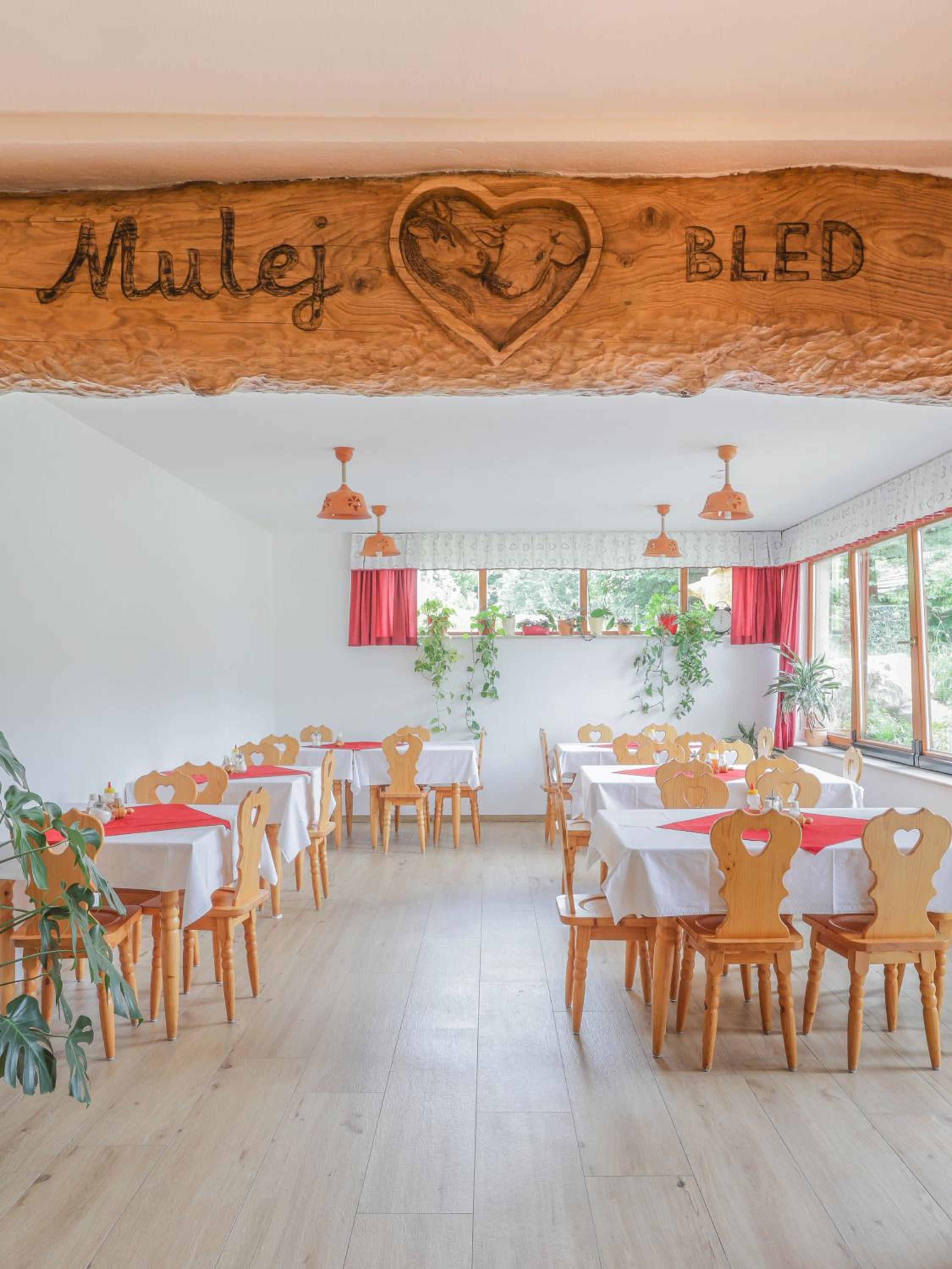 Photo 57