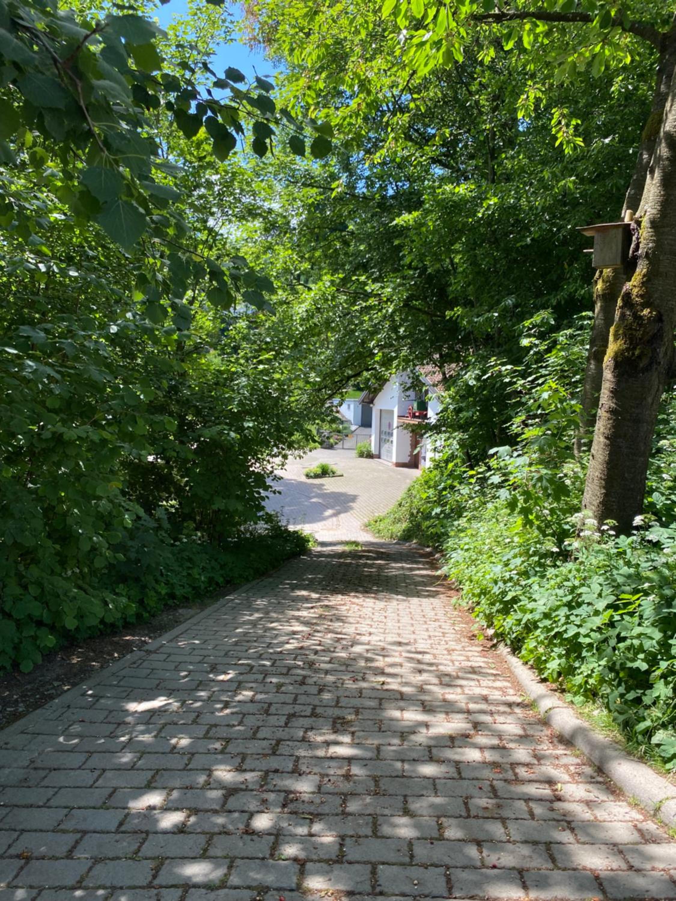 Haus Dreil