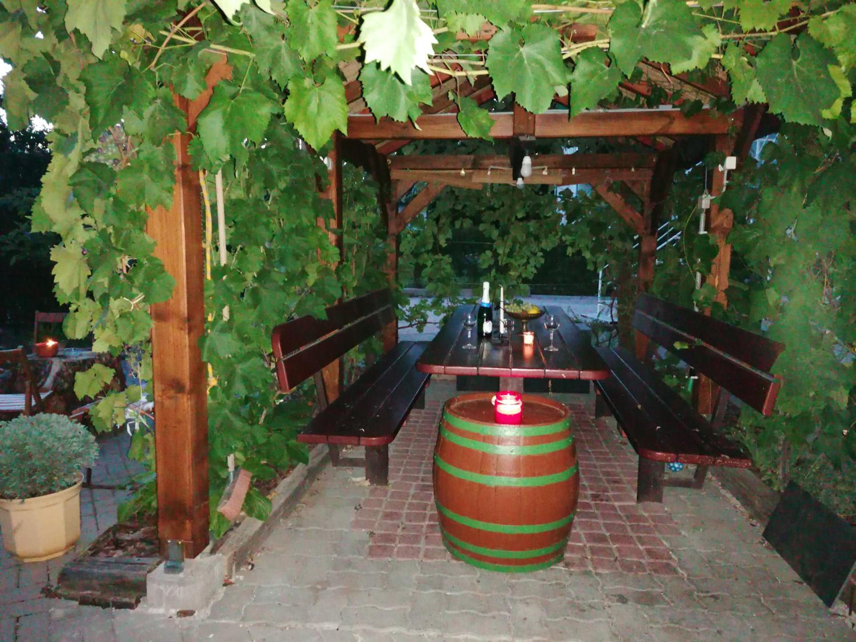Photo 7