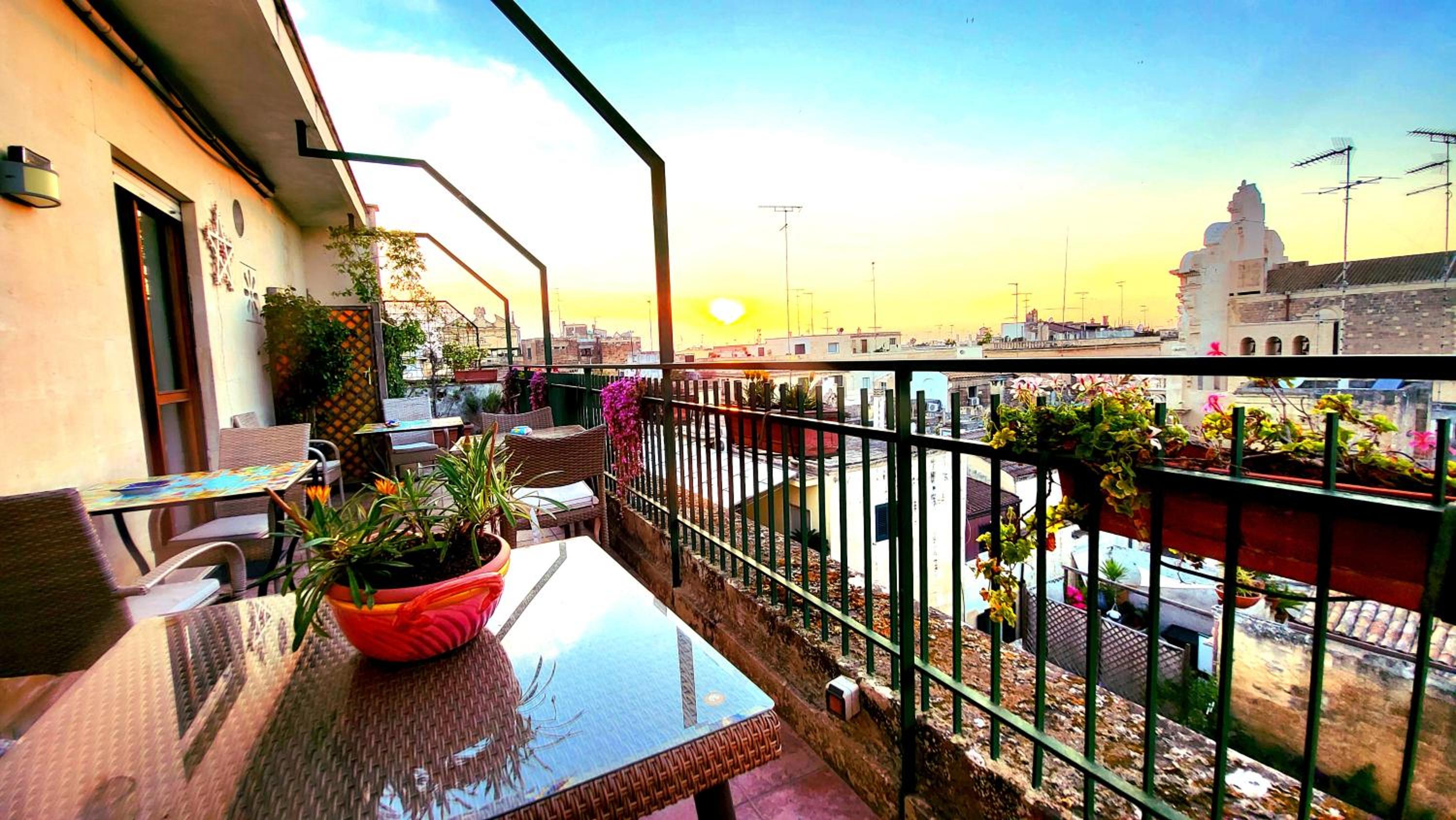 balance & terrace
