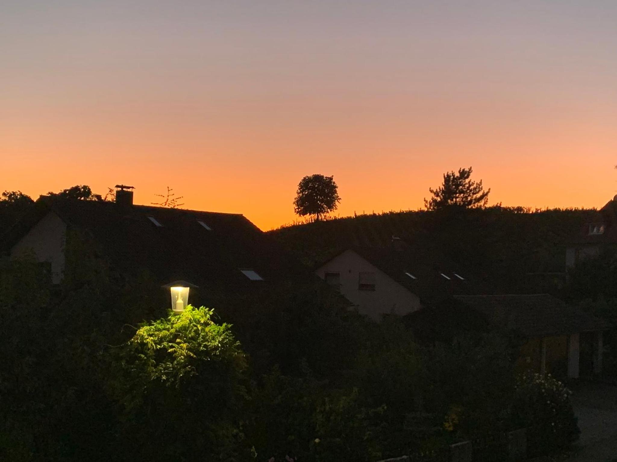 Seebrise mit Musik und Wein