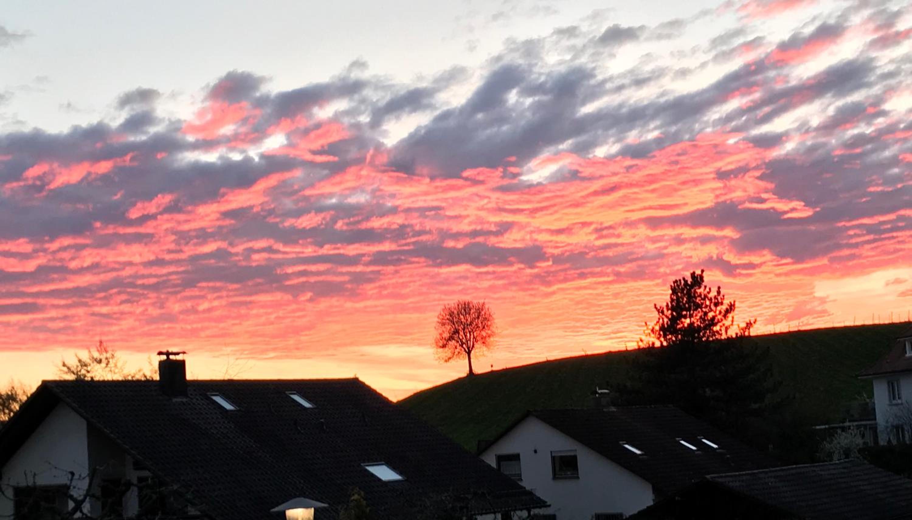Seebrise mit Musik und Wein