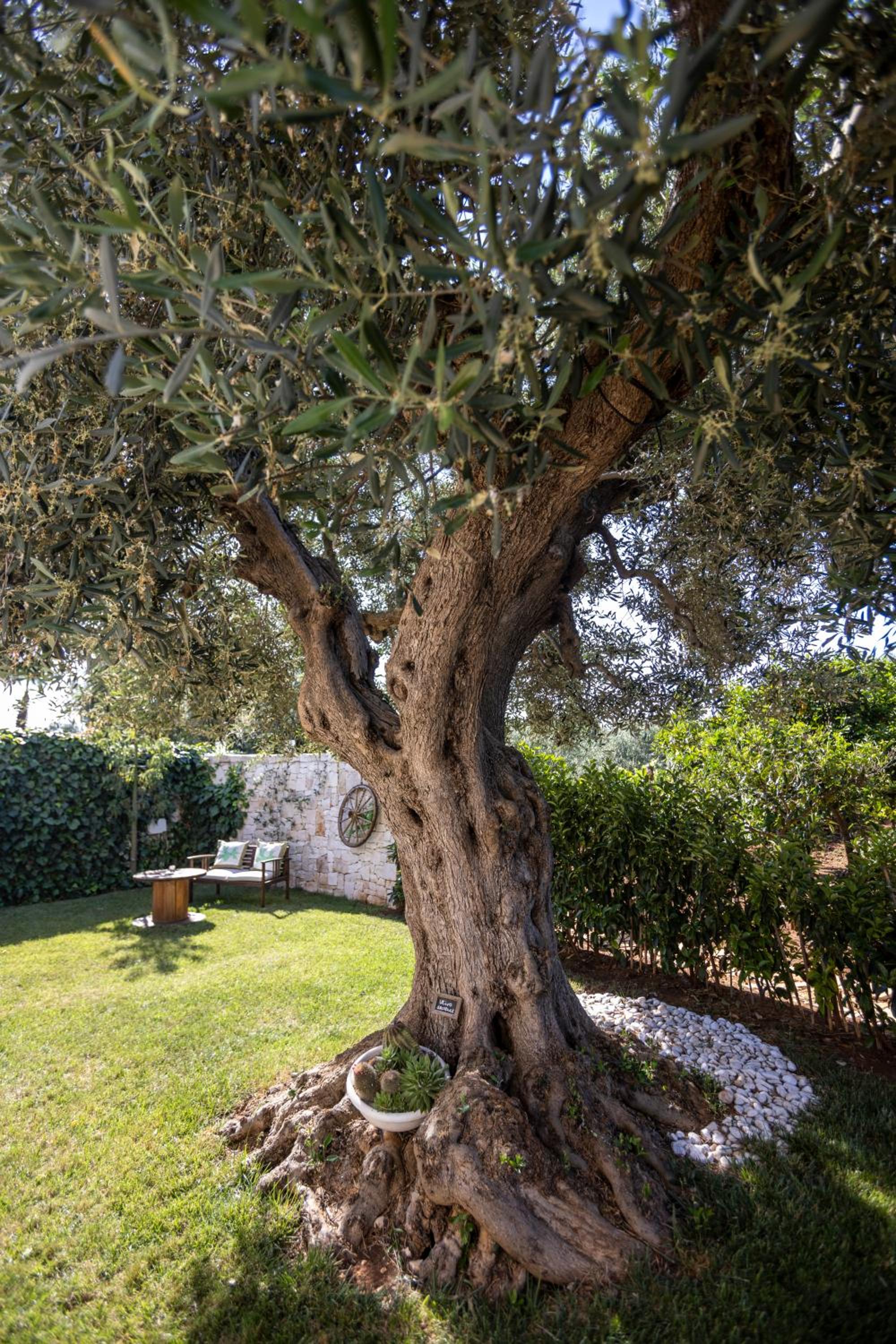 Photo 43