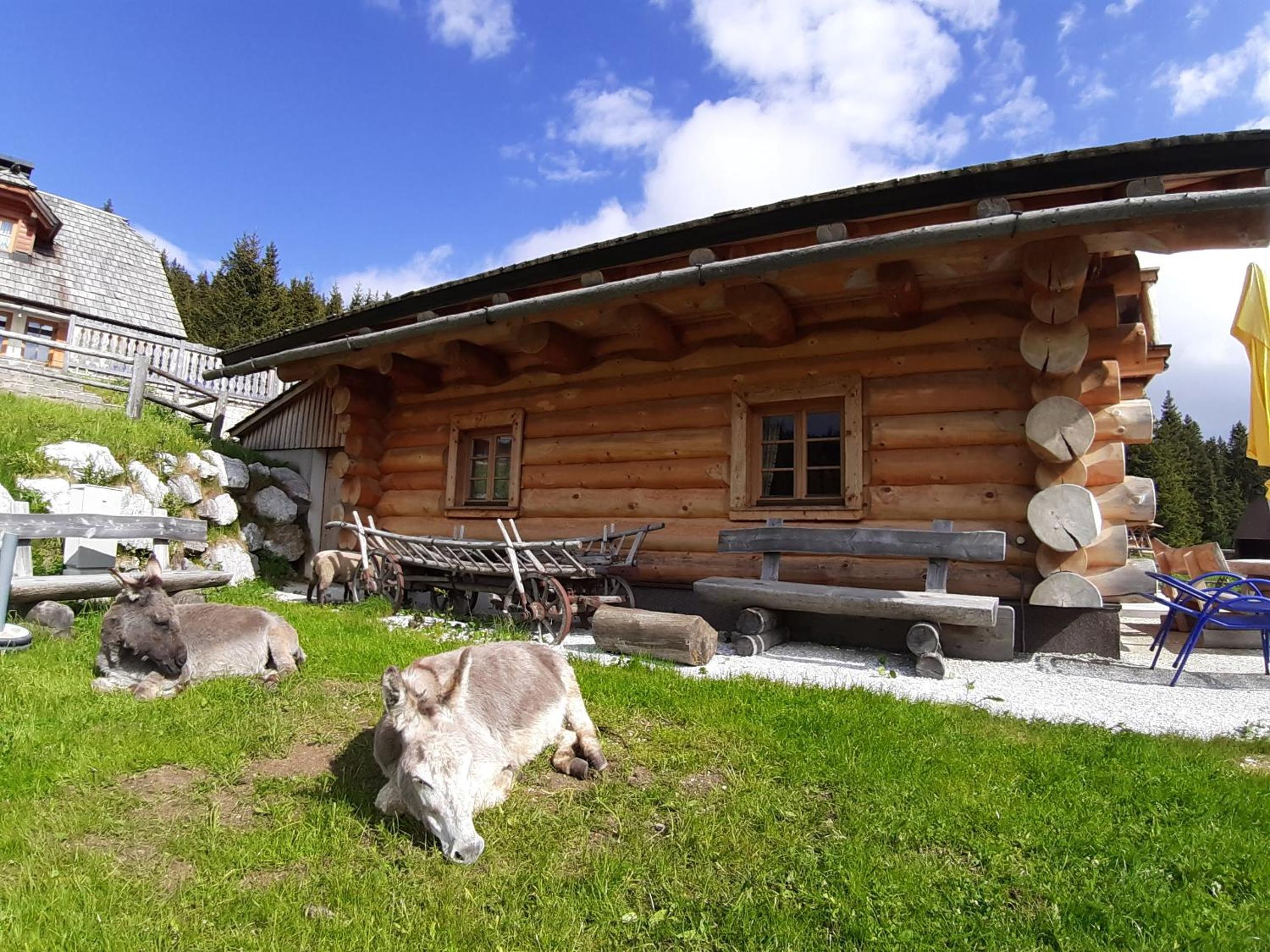 Lachtalhütte