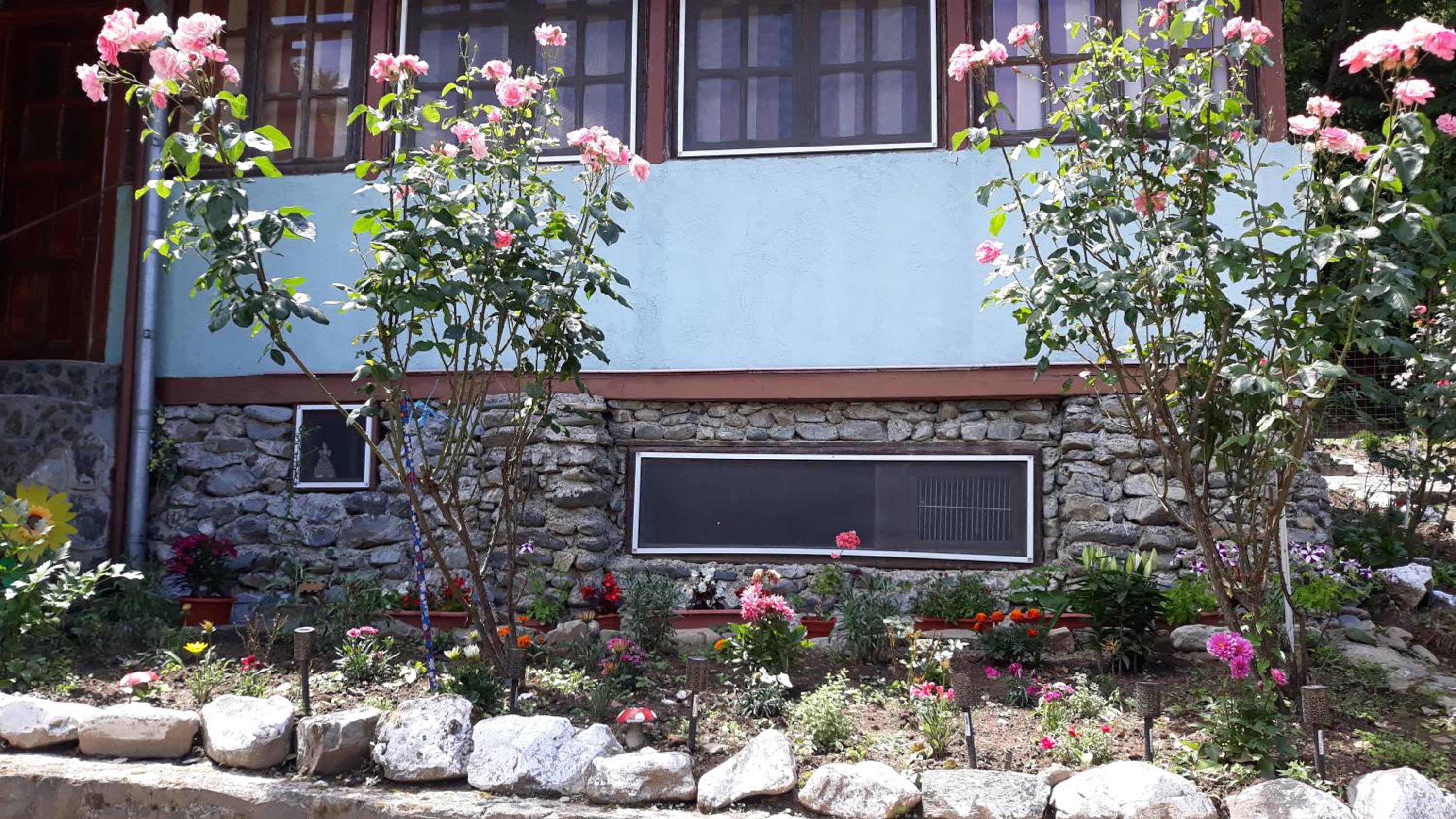 Photo 15