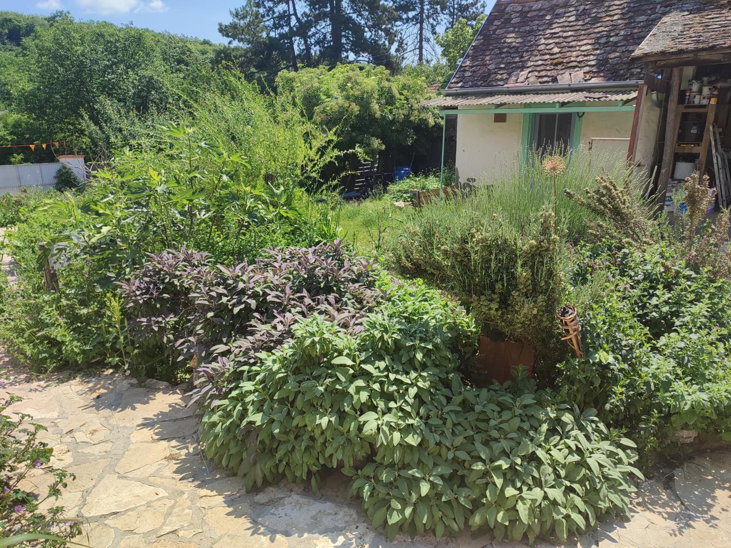 Photo 14