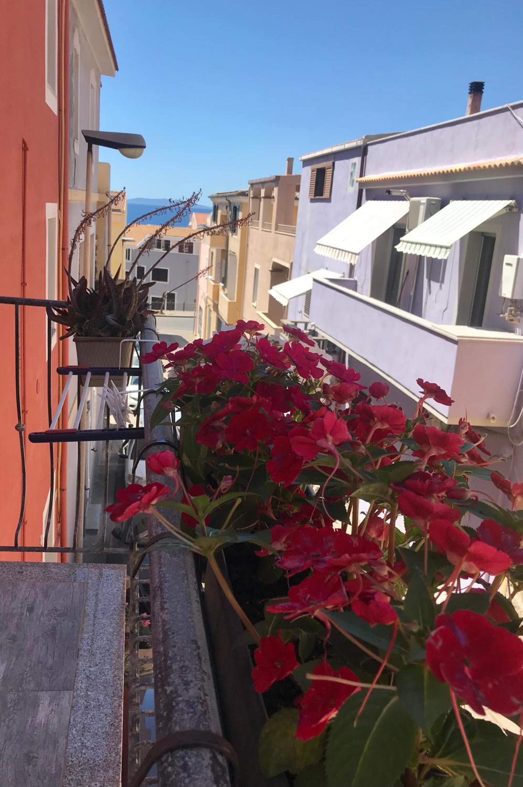 Domus Rubra view 3