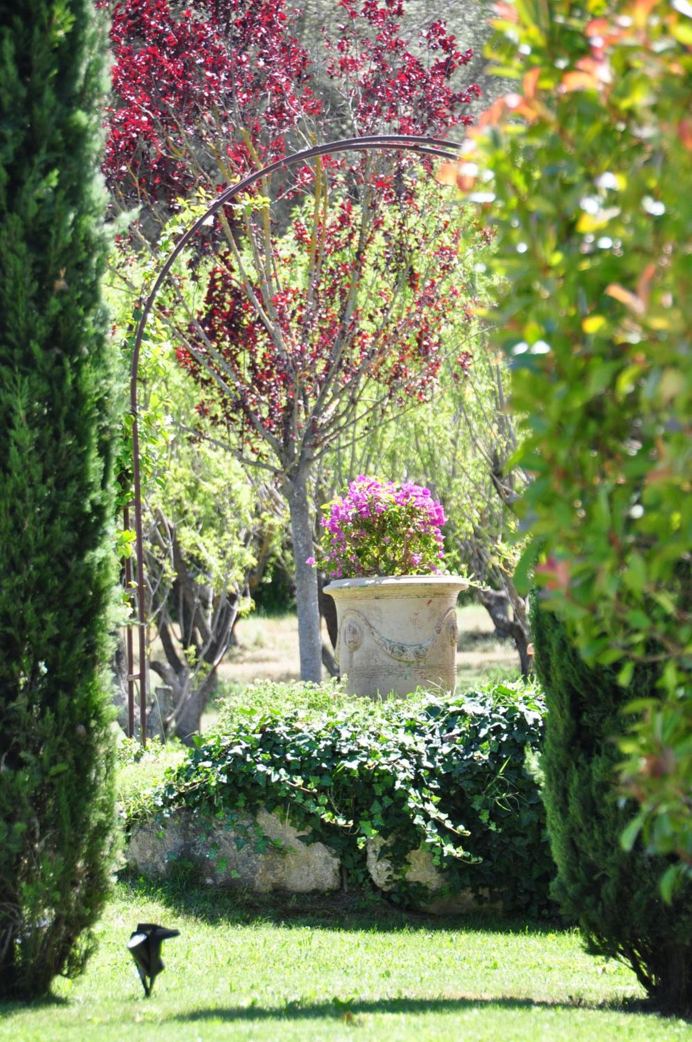 Photo 22