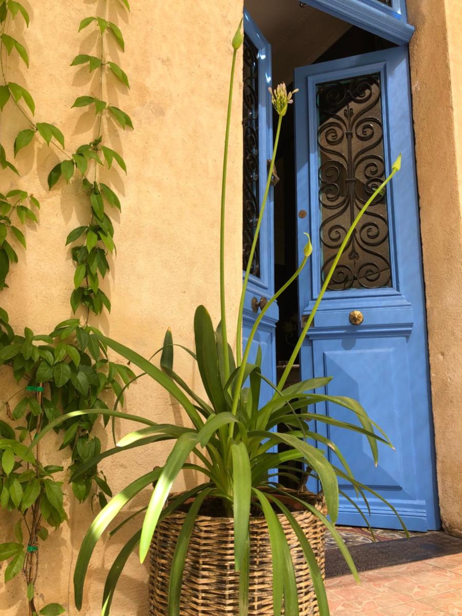 Photo 42