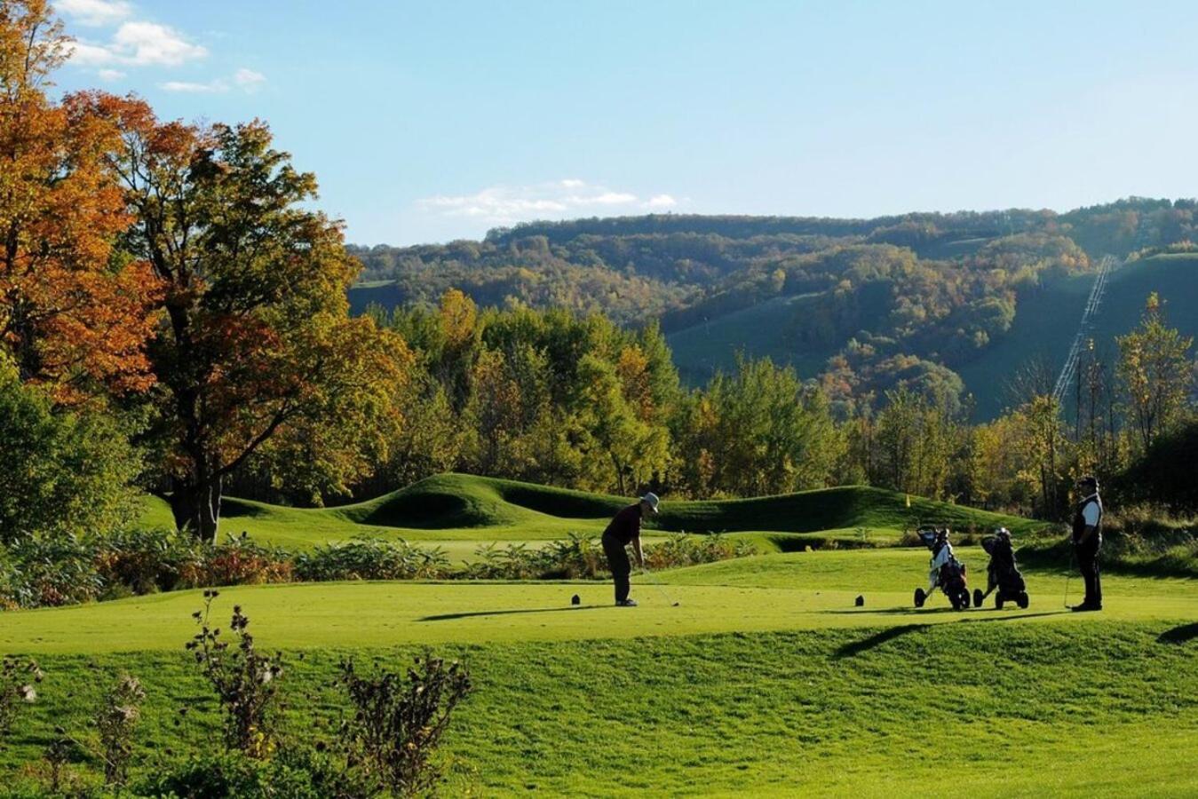 Blue Heart Mountain Studio Dream Walk to slopes, tennis