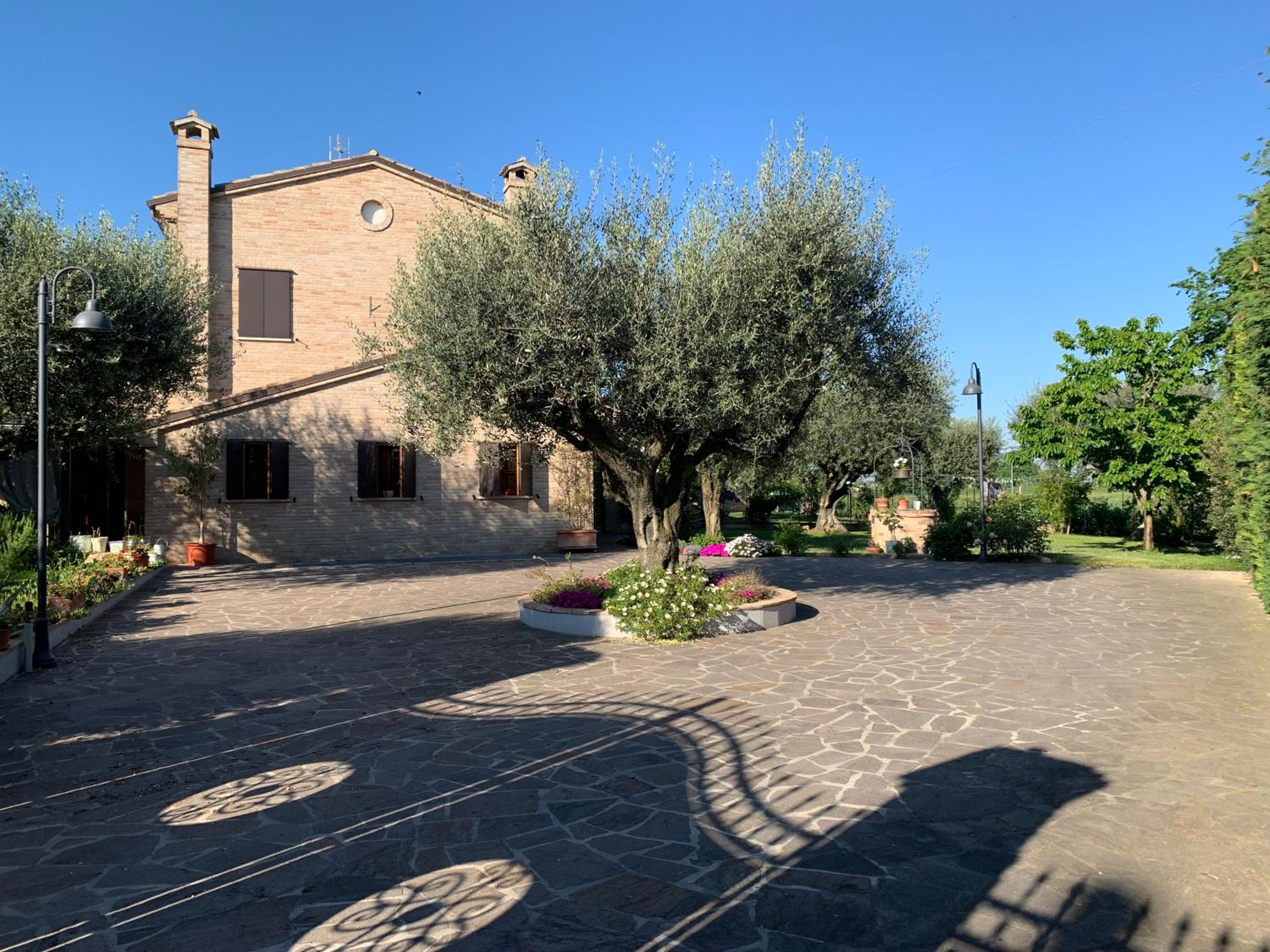 Guest House Vagamondo