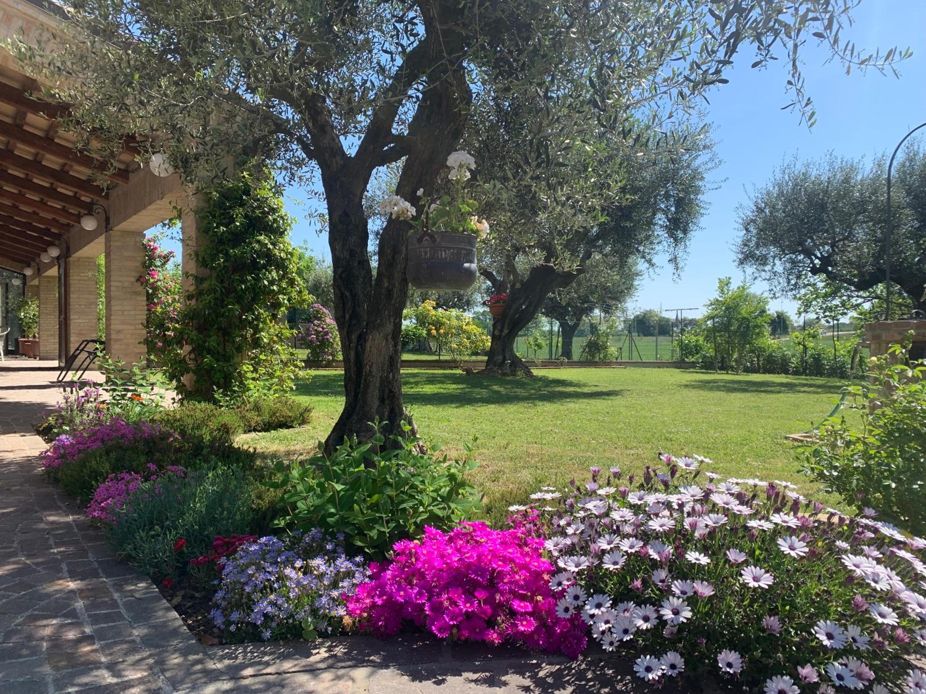 Guest House Vagamondo