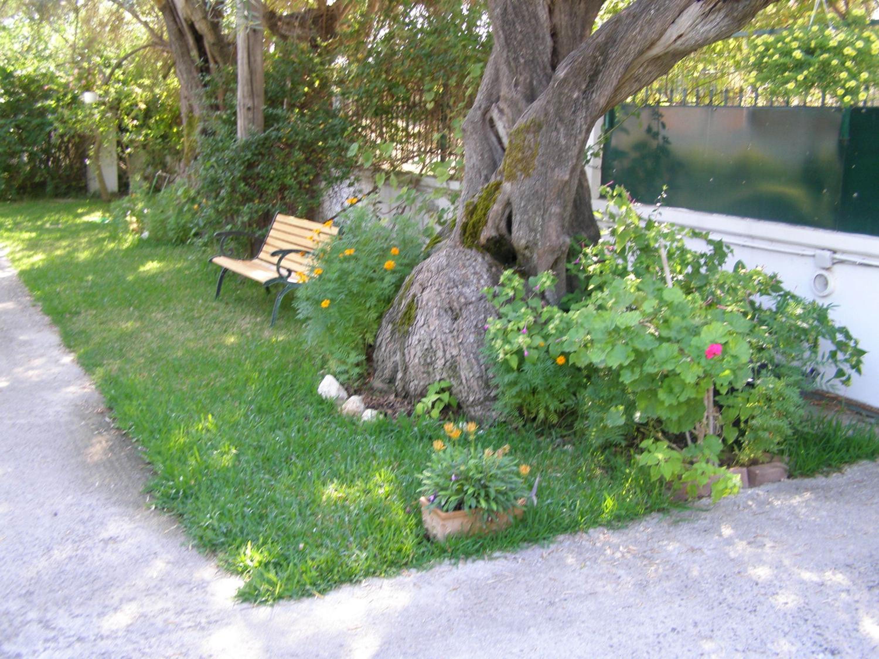Photo 35