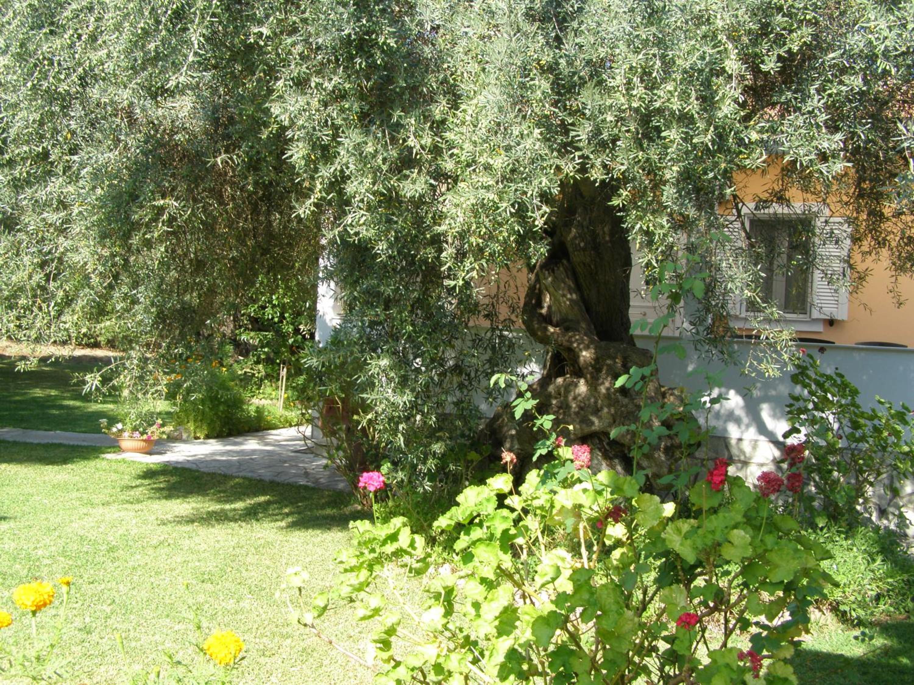 Photo 24