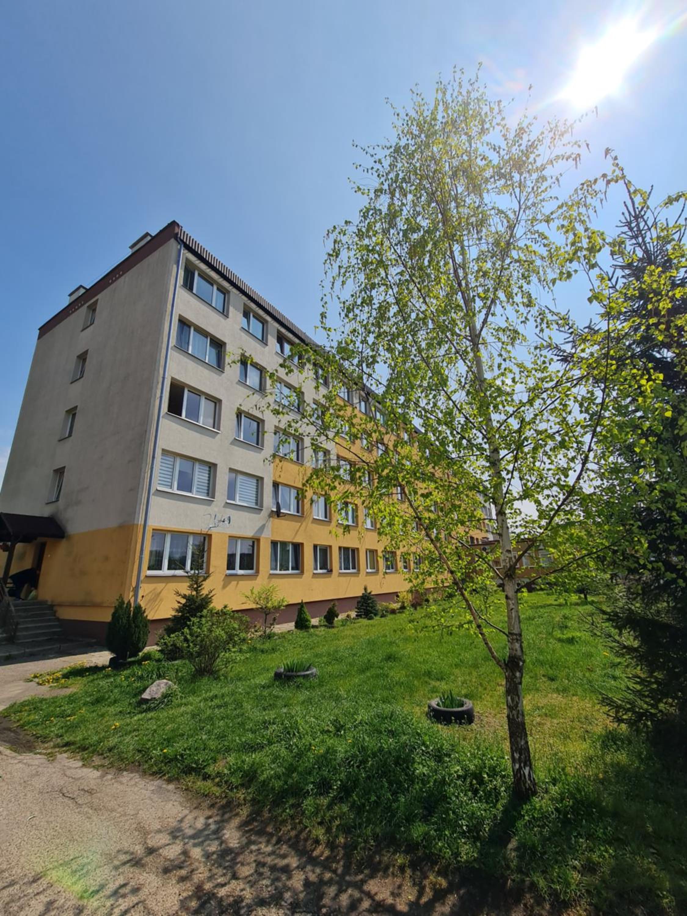 Photo 21