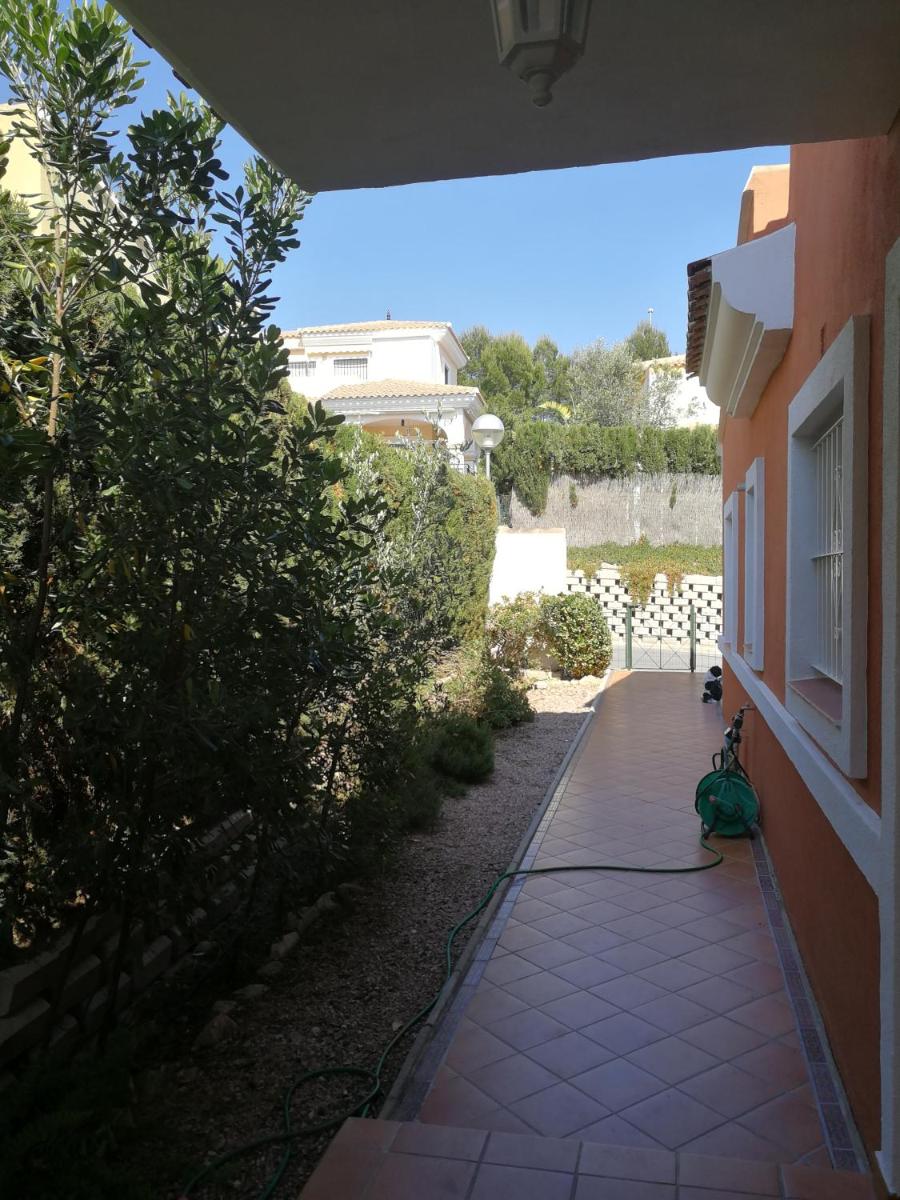 Photo 11