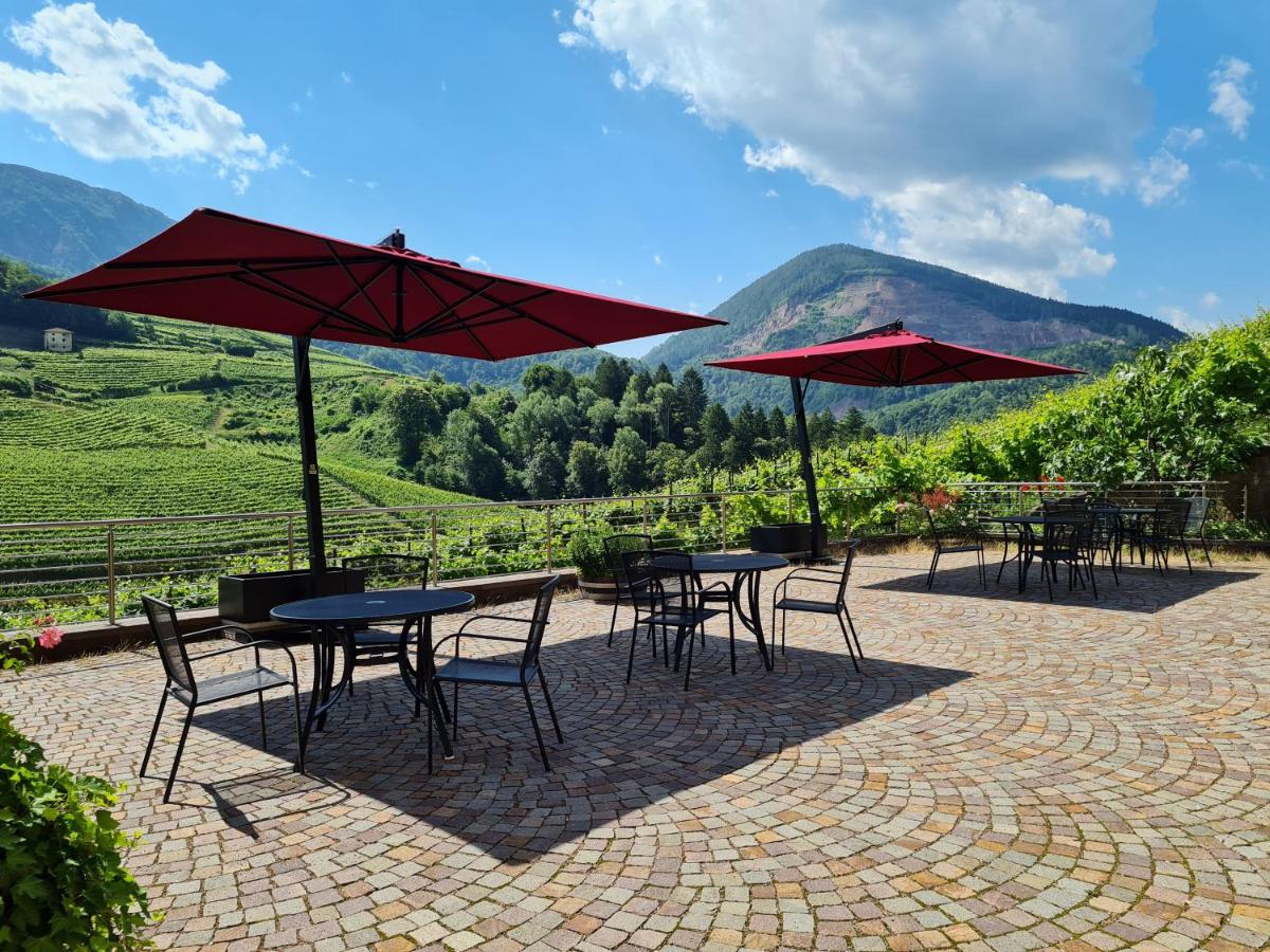 Agriturismo Maso Besleri view 3