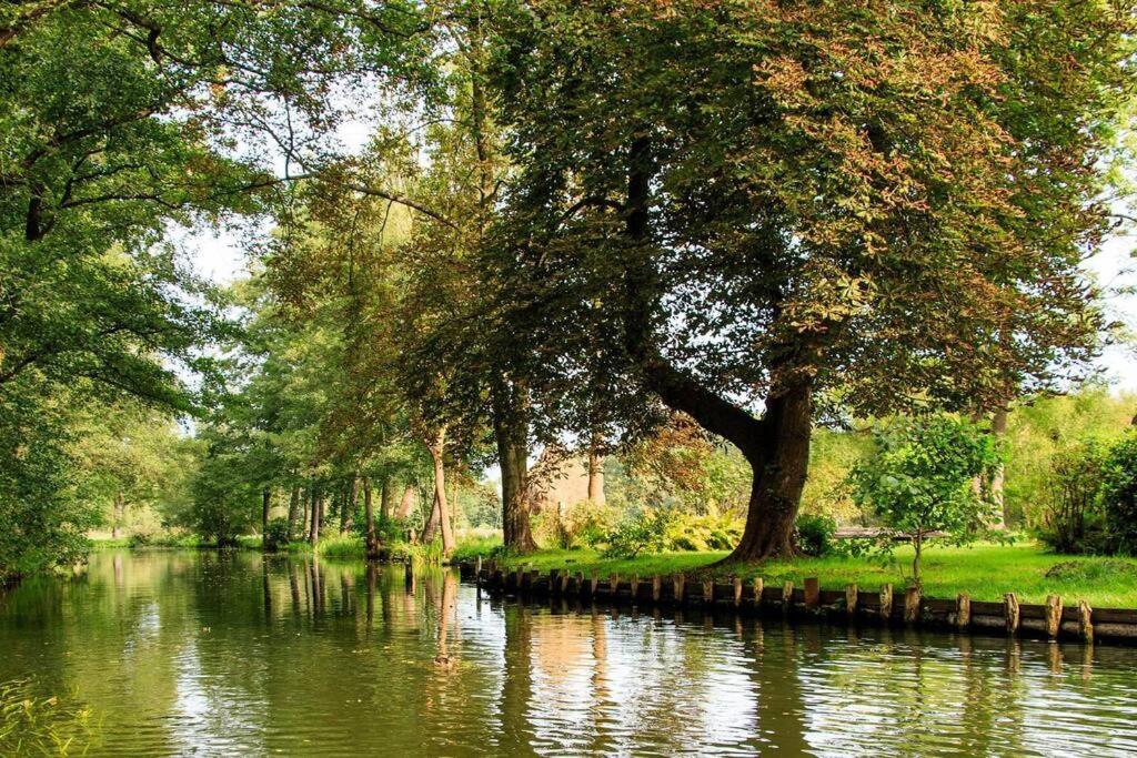 *Premium-Apartment im Spreewald*