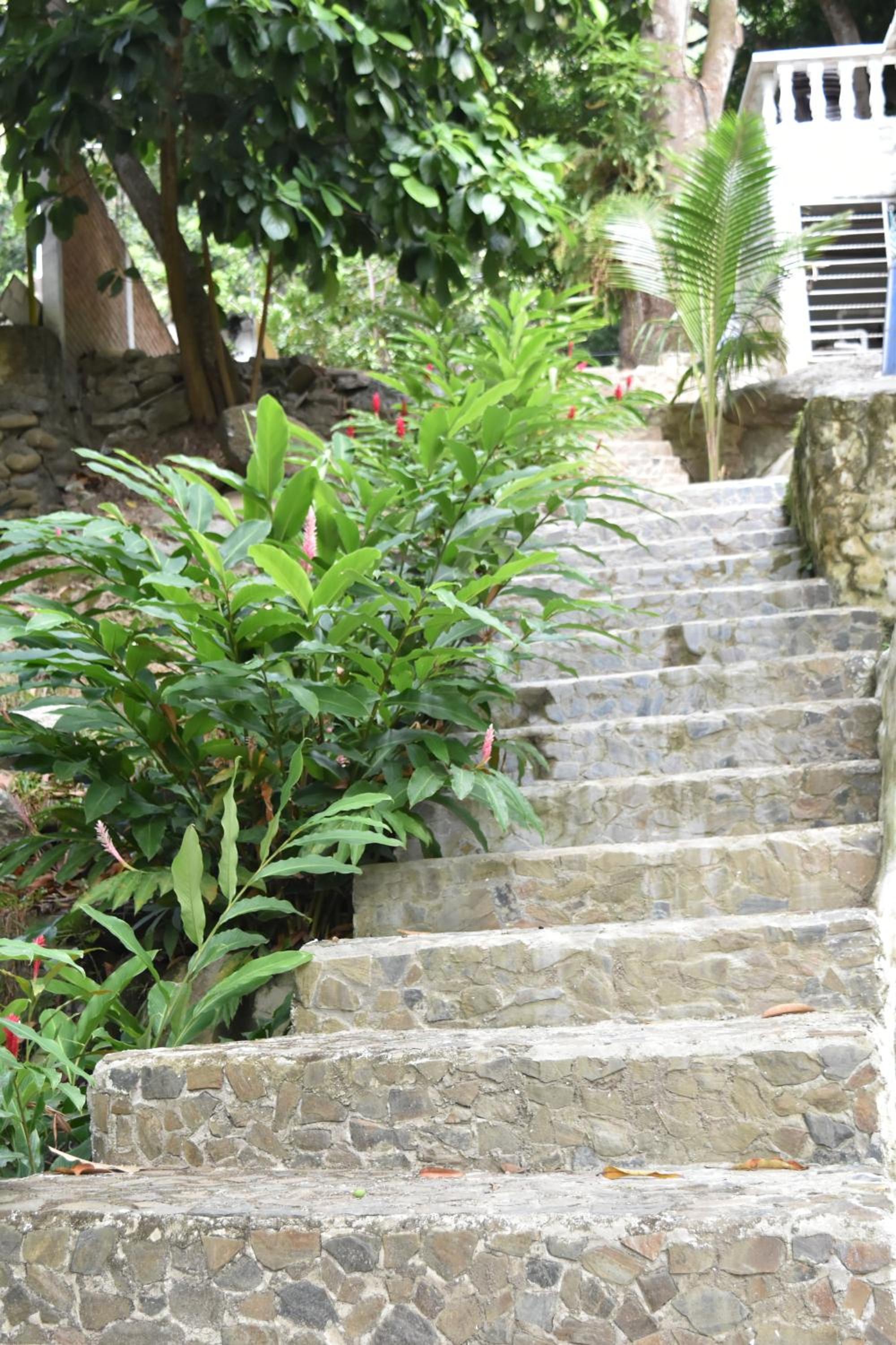 Eco Hostal Kuima