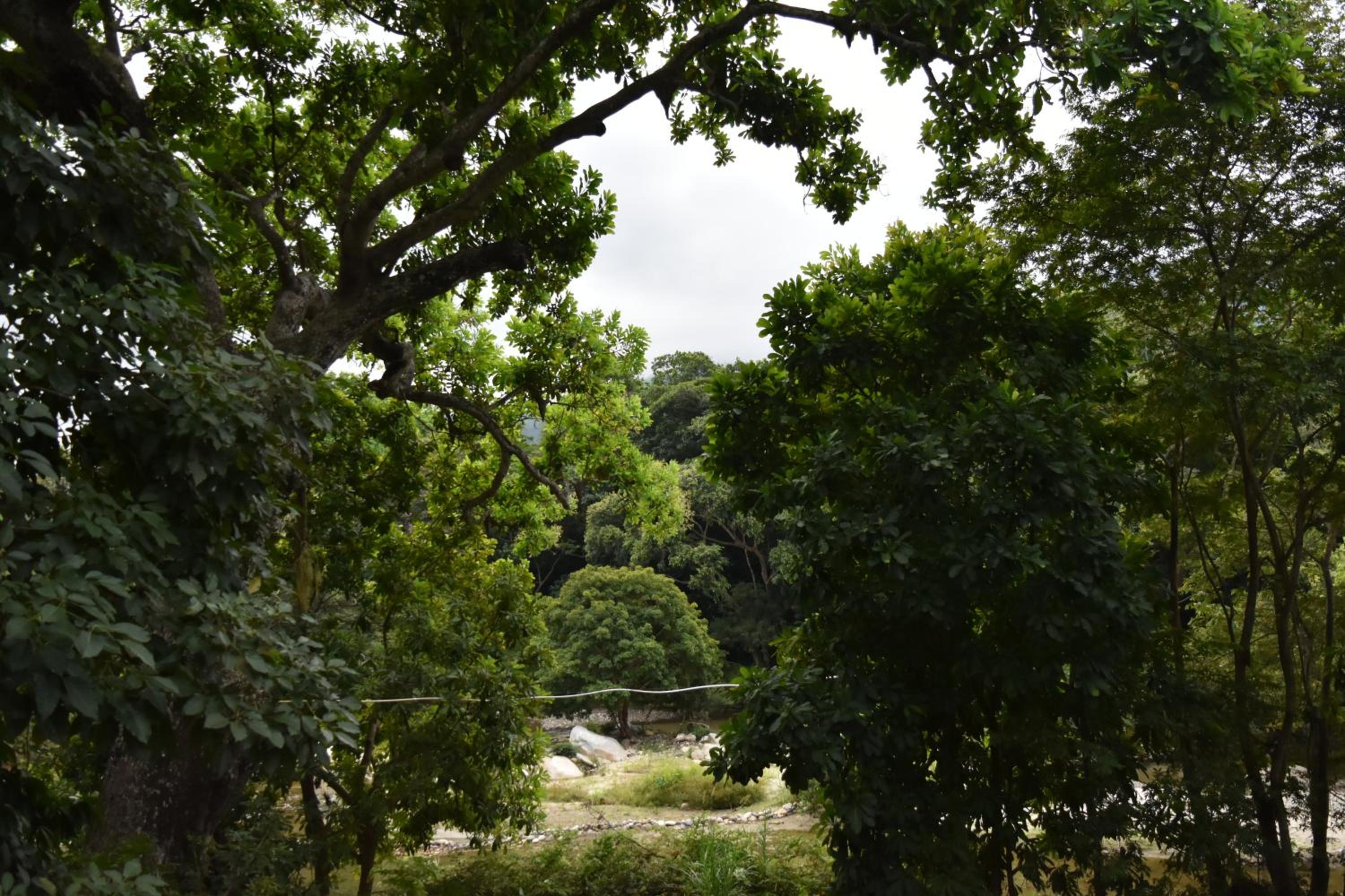 Eco Hostal Kuima