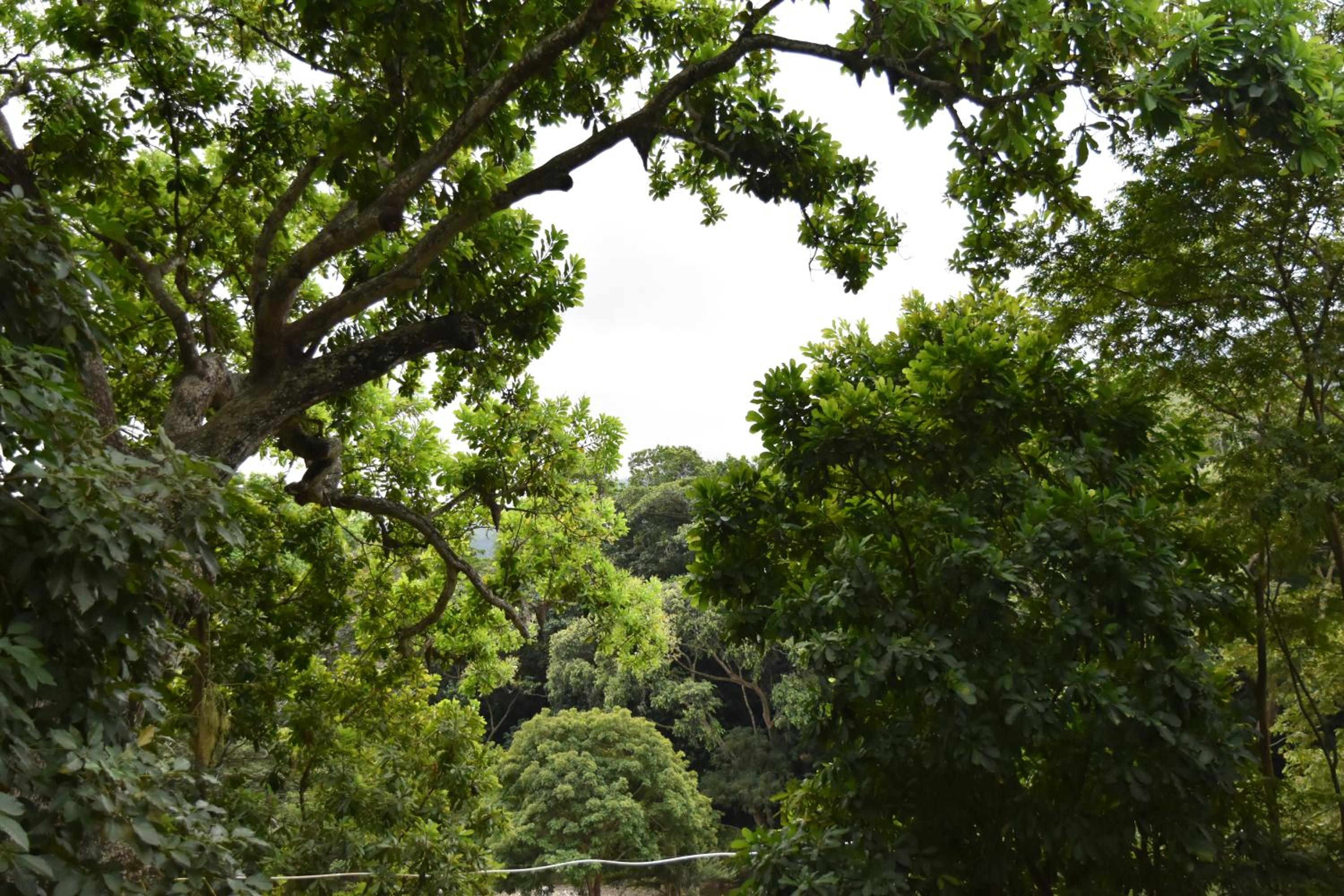 Eco Hostal Kuima