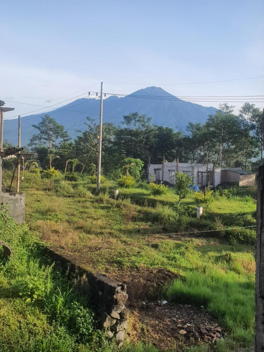 Keisha Homestay view 2