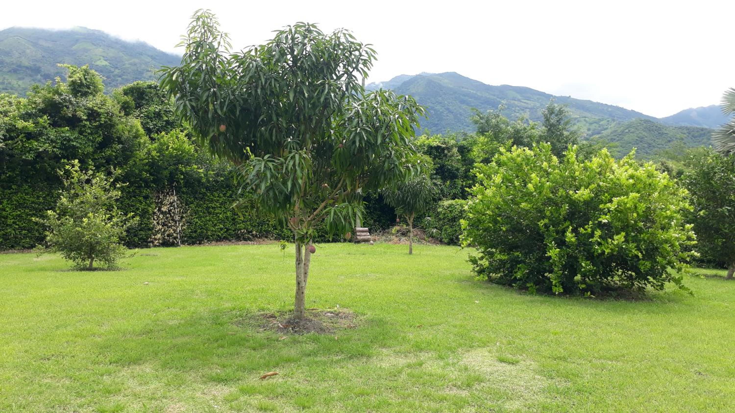 Casa campestre de lujo con piscina privada, terreno de 6mil mts, vigilancia 24horas,