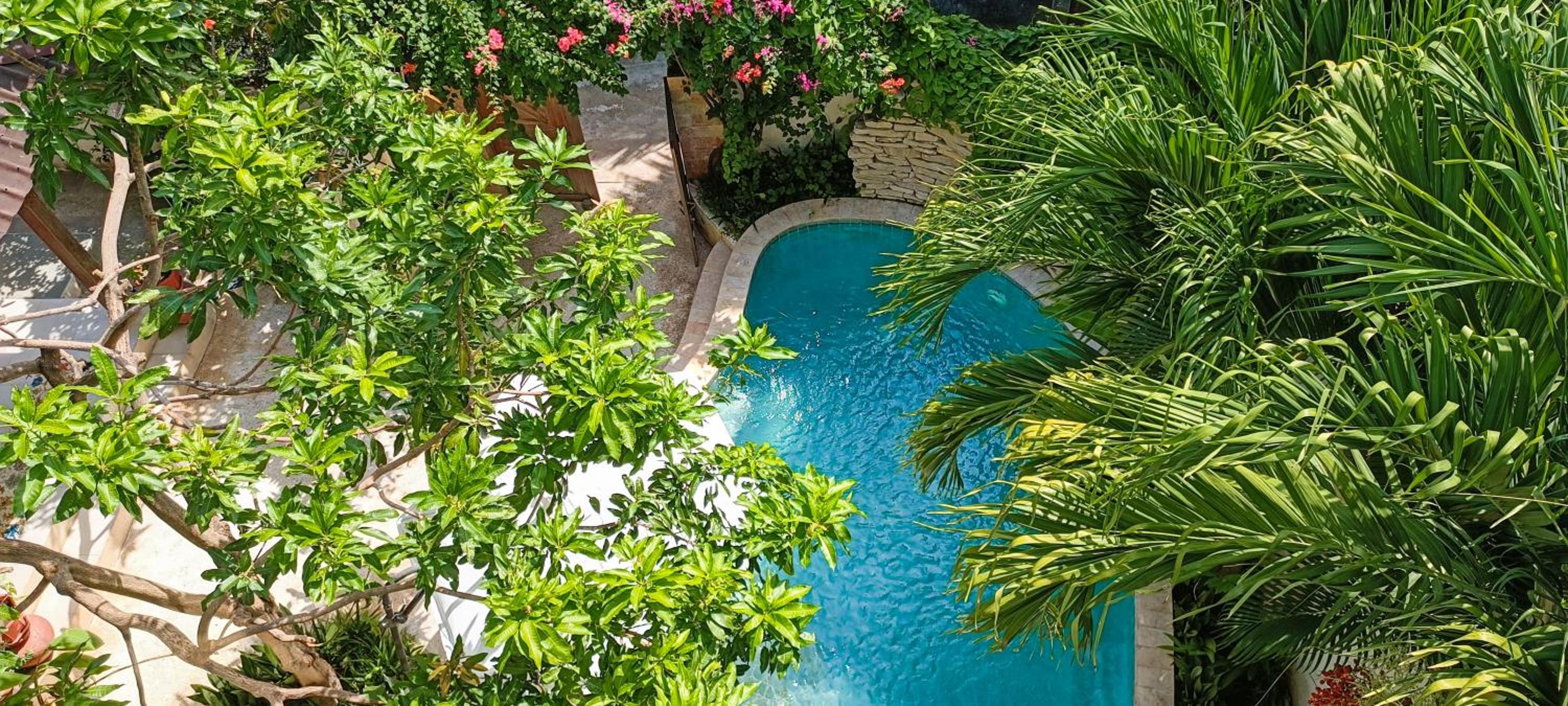 Soraya Yoga Wellness Center, Gili Trawangan - 23