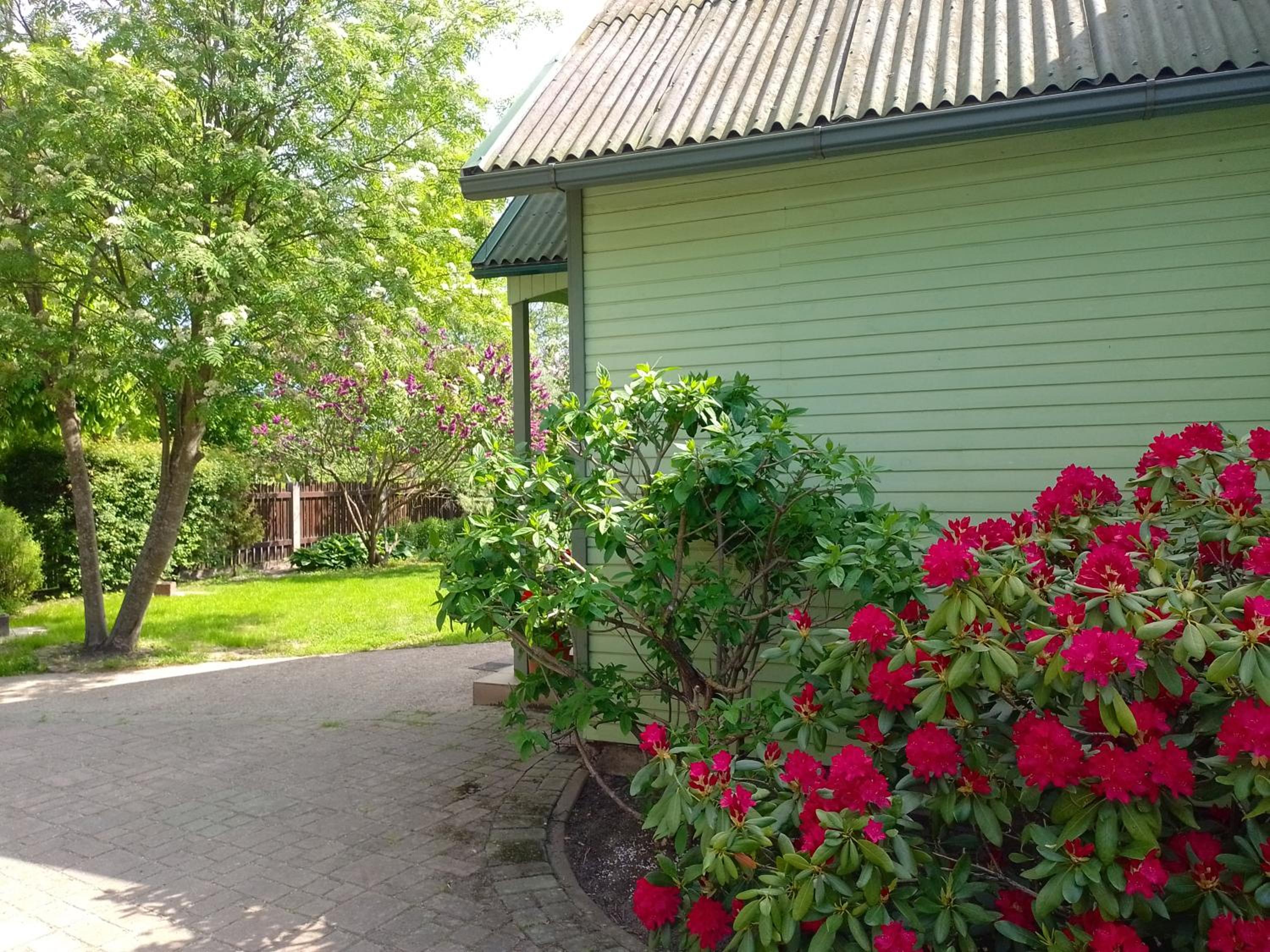Photo 6