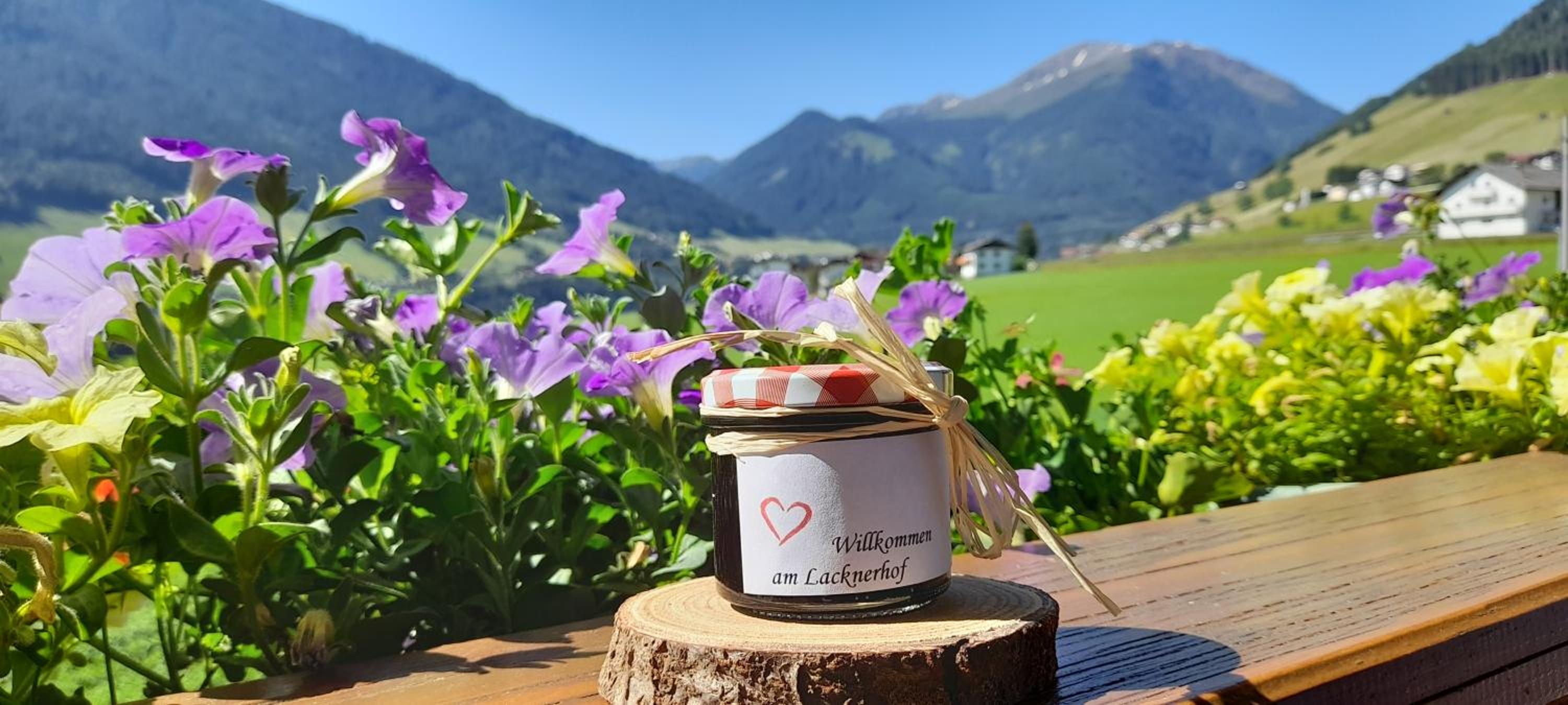 Lacknerhof view 2