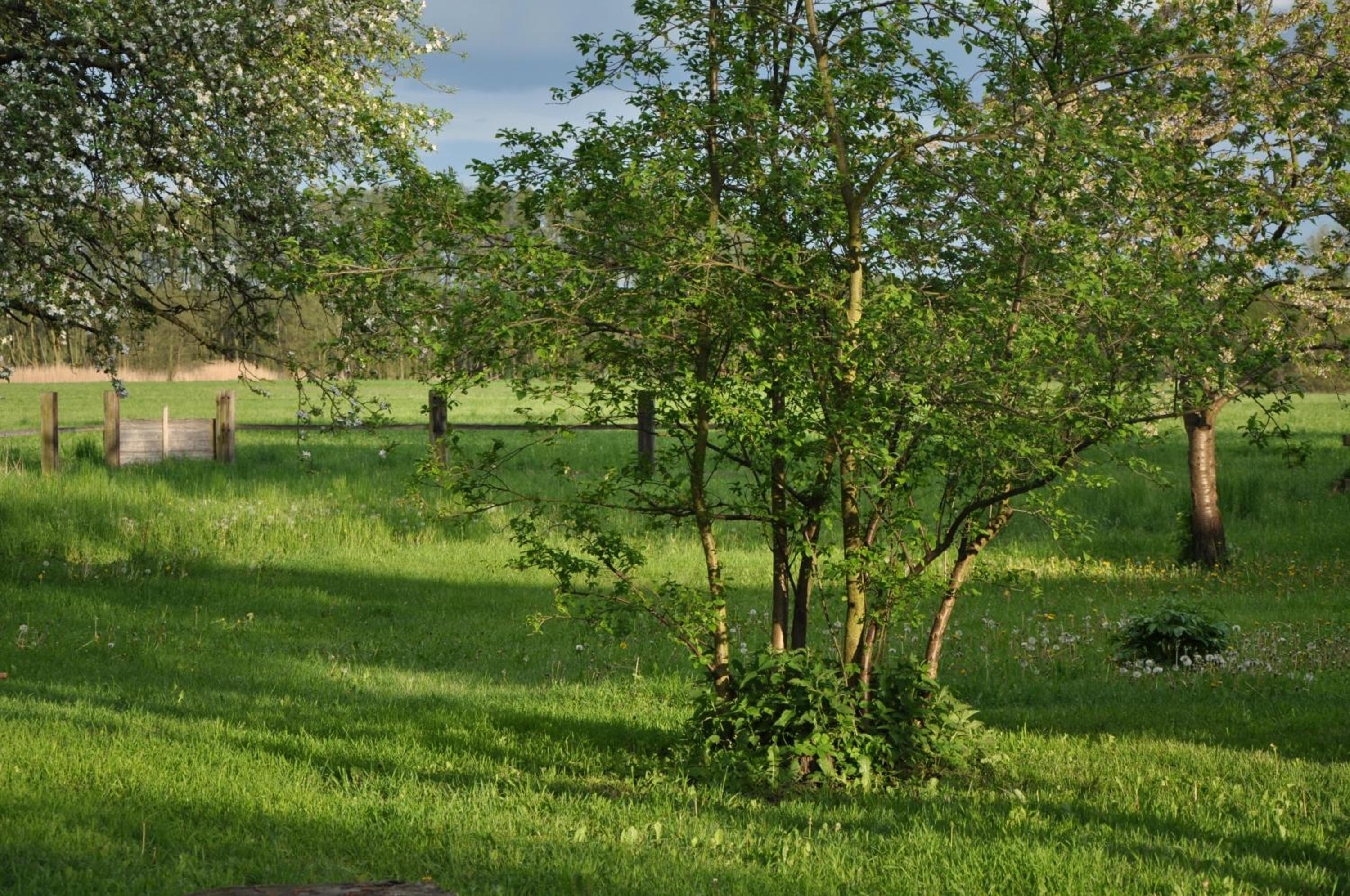 Villa Osterloff