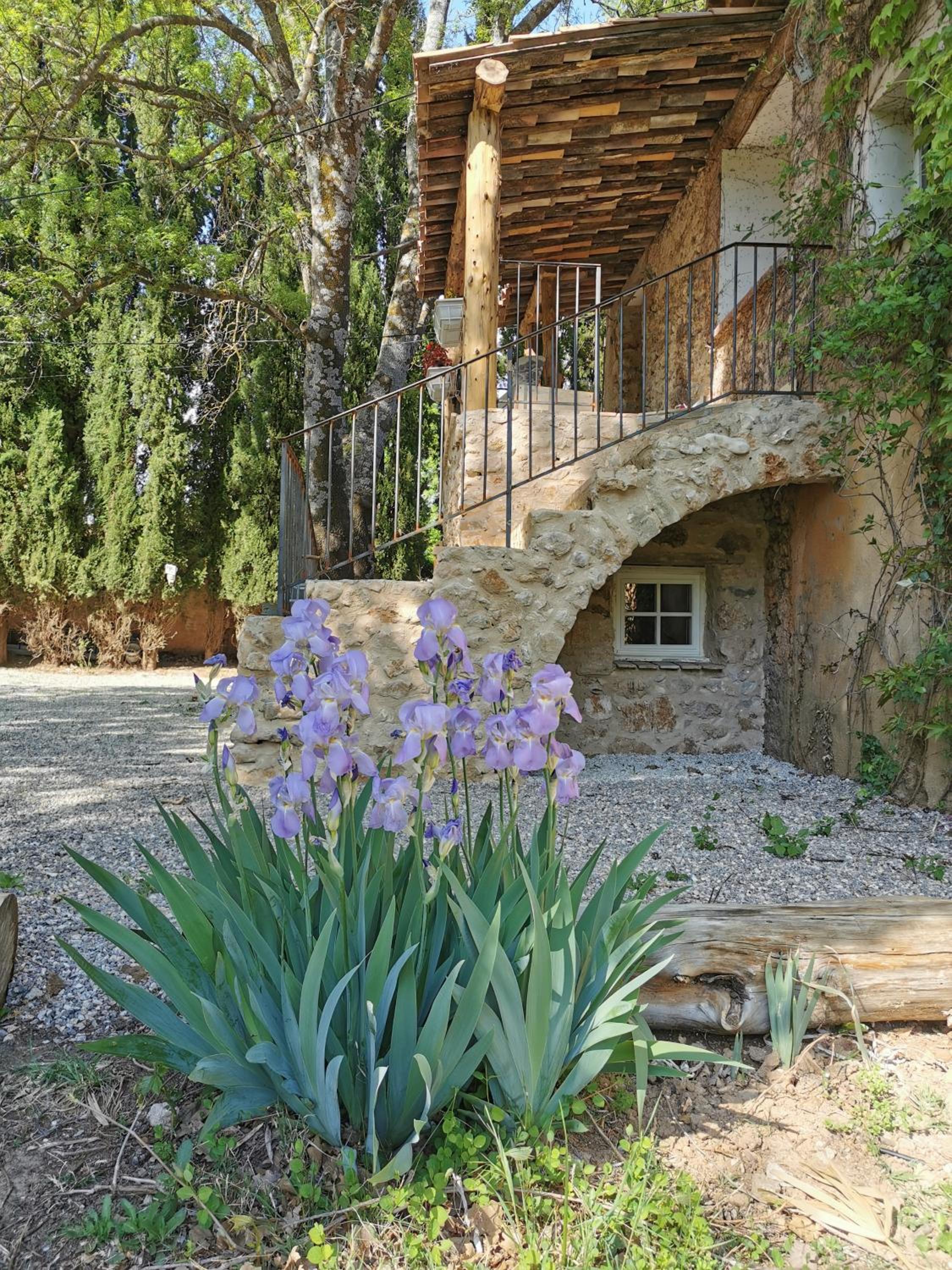 Photo 21