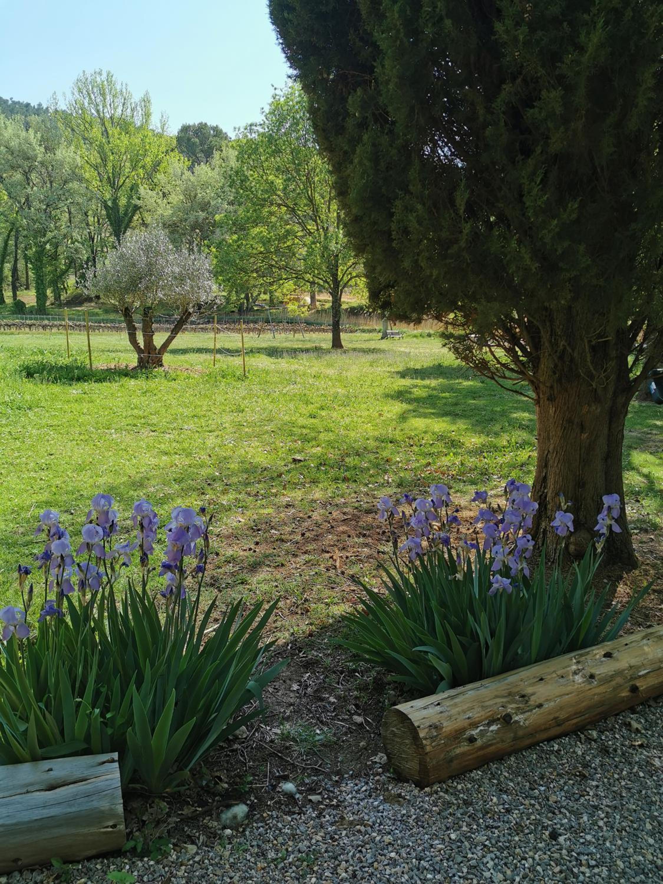 Photo 22
